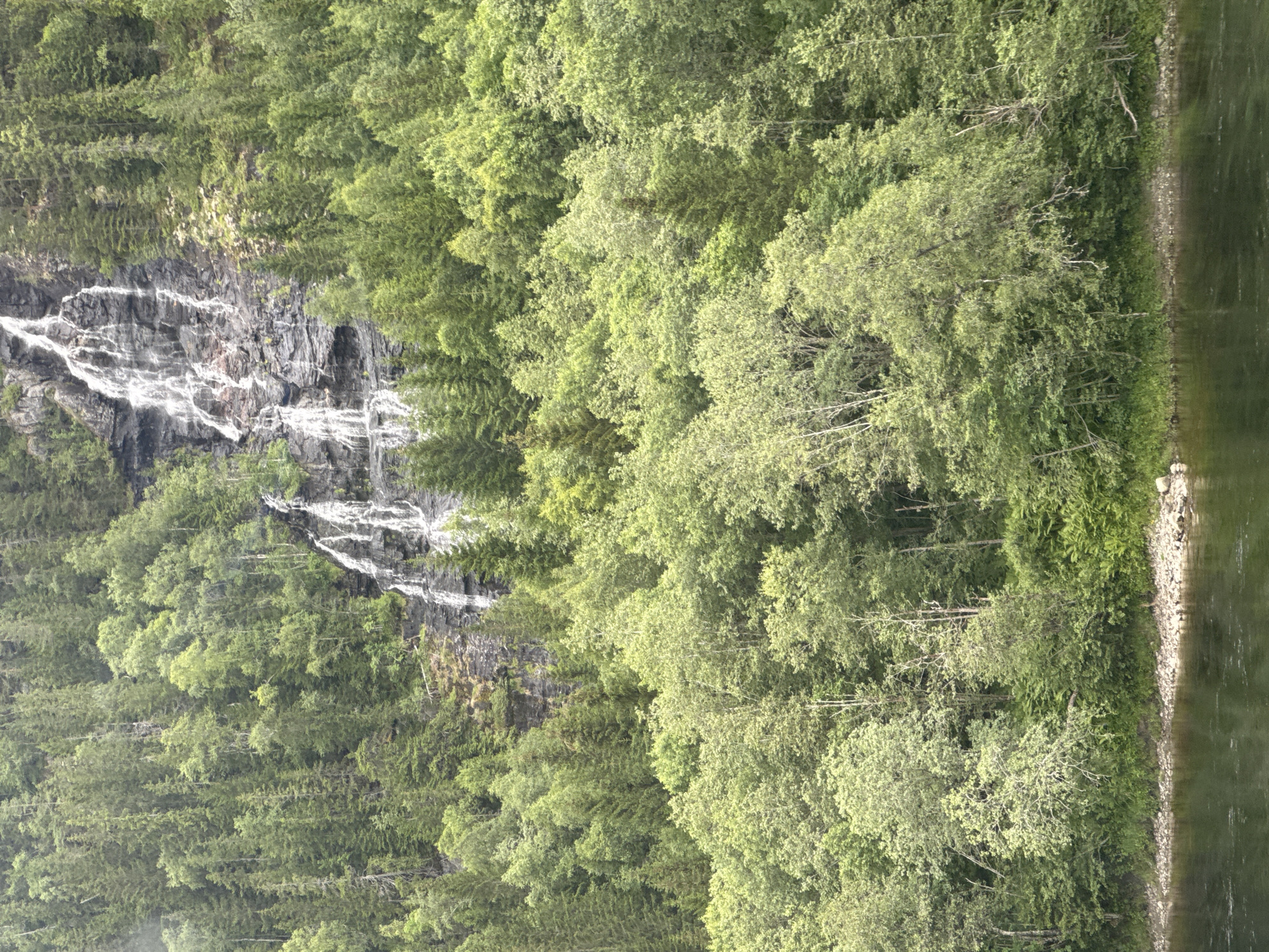 The image depicts a natural landscape with a waterfall cascading down a rocky cliff face. The waterfall is a prominent feature, with white water flowing over dark, textured rocks, creating streaks of white against the dark stone. Surrounding the cliff and waterfall is a dense forest composed of various shades of green trees. The trees are lush and full, with some appearing to be conifers and others deciduous.
To the right of the forest and cliff, a body of water is visible. This water is dark and reflects the greenery of the surrounding trees and the sky, suggesting it is a calm lake or slow-moving river. The edge of the water features a rocky shoreline with scattered stones.
The scene appears to be outdoors in a natural, possibly mountainous or fjord-like environment, given the description of Grong, Norway. The lighting suggests it is daytime, with the sun illuminating the scene and creating highlights on the water and foliage. The overall mood is one of natural beauty and tranquility. There are no people or man-made objects clearly visible in the frame, emphasizing the wildness of the location. The time of day appears to be midday or afternoon, given the brightness of the scene. The weather seems clear, as indicated by the sunlight and reflections.
