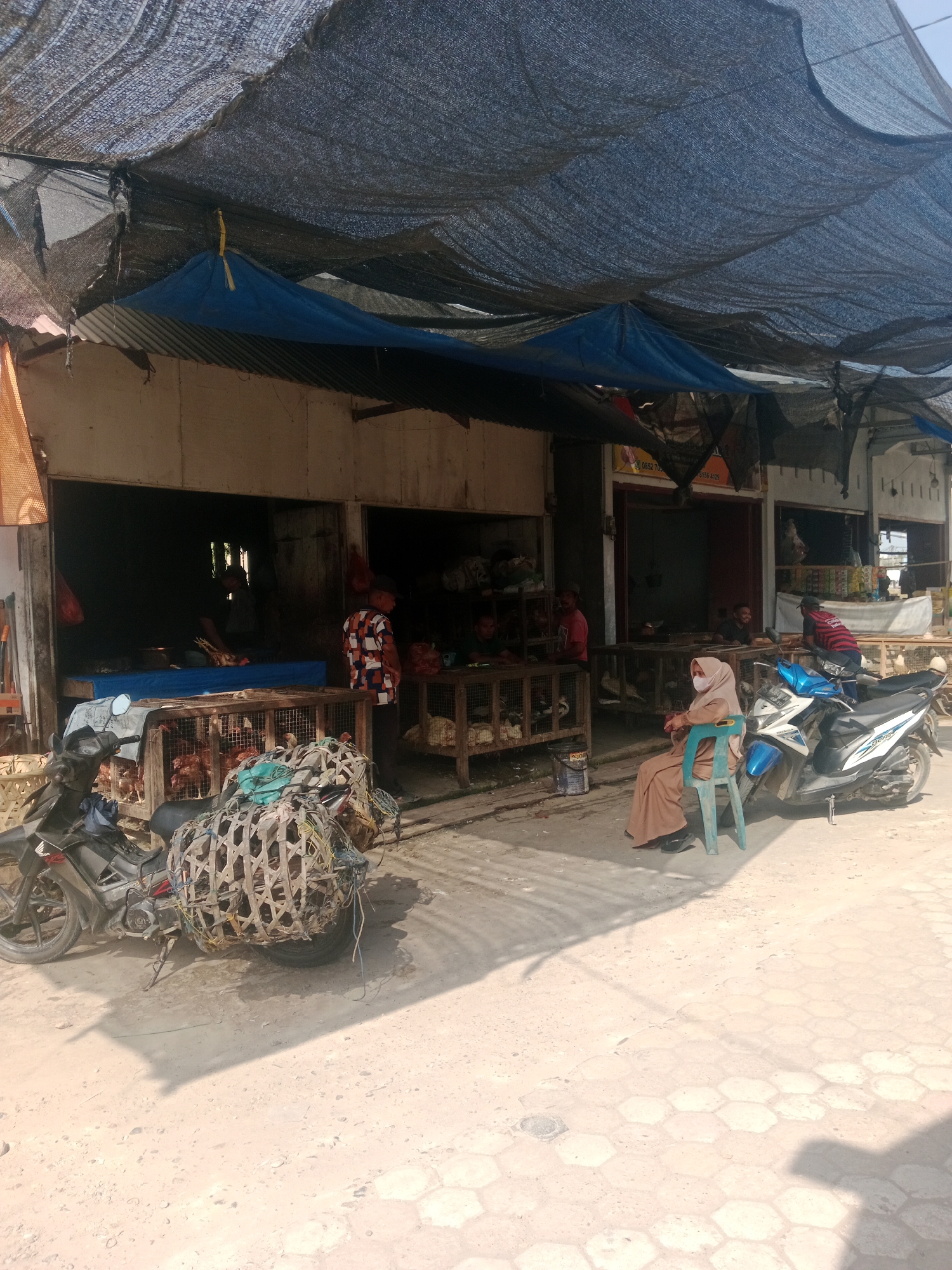 This image depicts an outdoor market scene in Keudegeudong, Indonesia, likely focused on the sale of poultry. A large, dark net is suspended overhead, providing shade, with a blue tarp partially visible beneath it. The foreground shows a motorcycle parked on a dirt and paved surface, with a large, woven basket filled with what appears to be more poultry or supplies strapped to its rear.
To the right of the motorcycle, a woman wearing a light brown hijab and abaya is seated on a turquoise plastic chair, facing away from the camera. Adjacent to her is a blue and white motorcycle.
Behind the motorcycle and extending into the background are several market stalls. In one stall, a man in a patterned shirt is standing behind a counter with cages of chickens visible. Another stall shows a person working with poultry on a blue tarp-covered surface. Several other individuals are visible within the market stalls, some appearing to be customers and others vendors. The stalls are constructed from simple materials, with corrugated metal roofing and wooden elements. The overall impression is of a busy, functional marketplace.