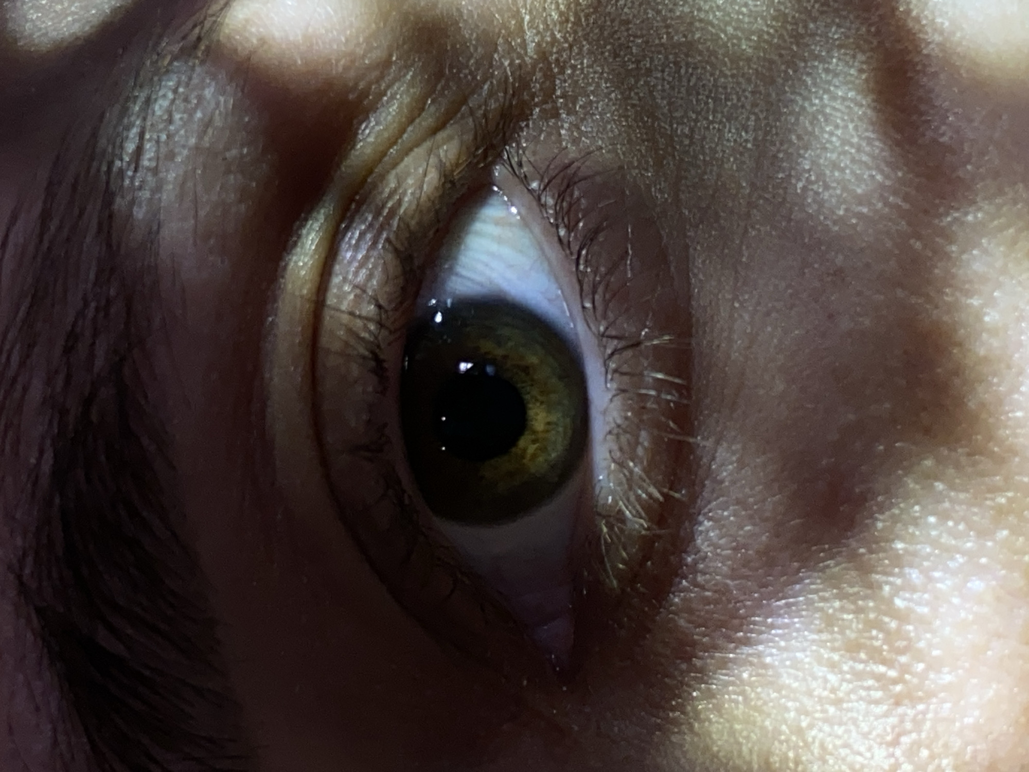A close-up, tilted view of a human eye is shown. The iris is dark brown with hints of green. Eyelashes frame the eye. The surrounding skin is textured, with wrinkles visible above the eye. The lighting is uneven, with shadows cast across the face. There is no information about the location in the city of Chaikovsky, Russia.