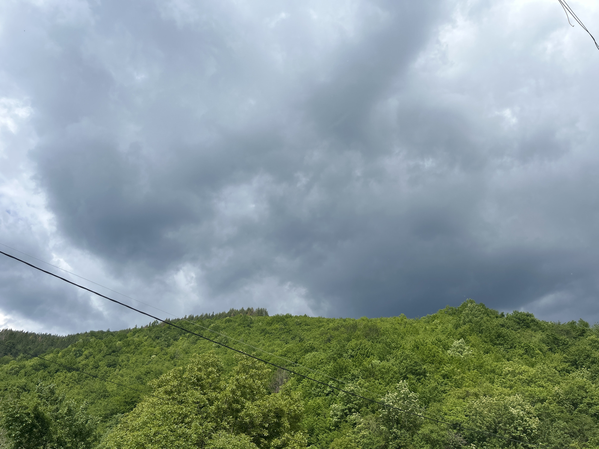 The image depicts a lush, green, tree-covered hillside under a cloudy, overcast sky. The sky is filled with heavy, grey clouds that dominate the upper half of the picture. Two black power lines stretch across the frame, cutting through the sky and trees. The hillside is covered in dense vegetation, with varying shades of green indicating different types of trees and foliage. The location appears to be rural, and there is no evidence of buildings or human presence beyond the power lines. There is no information about the city.