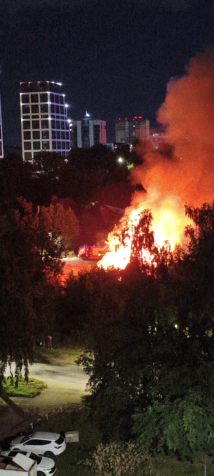 The image depicts a nighttime scene in Izhevsk, Russia, where a fire is actively burning amidst trees. A red fire truck is visible near the flames, suggesting a response to the emergency. In the background, several buildings, including a tall, modern-looking structure with illuminated windows, stand against the dark sky. The foreground shows a road or path and several parked cars. The overall impression is one of an urban environment experiencing a significant fire event.