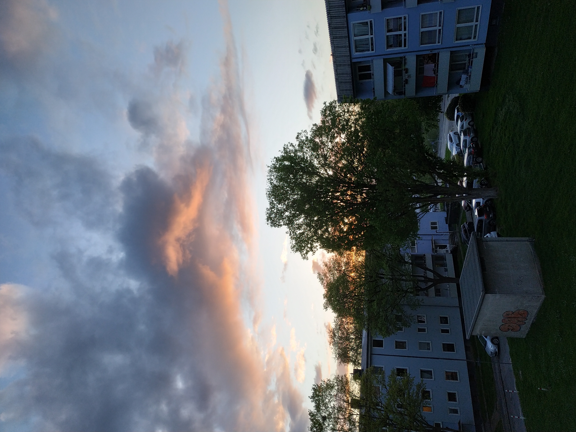 The image shows an outdoor scene in an urban area. In the foreground and middle ground, there are buildings with multiple windows, possibly apartment complexes. Several cars are parked near the buildings, indicating a residential or mixed-use area. A large tree is centrally positioned in the middle ground, partially obscuring the buildings behind it. The sky is visible in the background, with clouds illuminated by a setting or rising sun, creating a warm, orange glow. There's also a concrete structure with graffiti on the right side of the image. The image might be in Dortmund, Germany, based on contextual information, but without further landmarks, this is speculative.