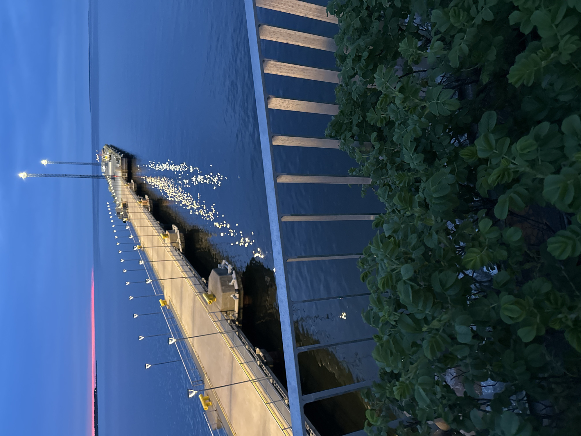 The image captures a twilight scene at the Linnahall pier in Tallinn, Estonia. The sky is a deep blue transitioning to a faint pink horizon, reflecting on the calm, dark water. A long, illuminated pier extends into the sea, lined with evenly spaced lampposts that cast a warm glow. The lights from the pier are mirrored in the water, creating a shimmering effect. In the foreground, a metal railing and lush green foliage partially obscure the view of the pier. The overall atmosphere is serene and tranquil, indicative of early morning or late evening hours.
