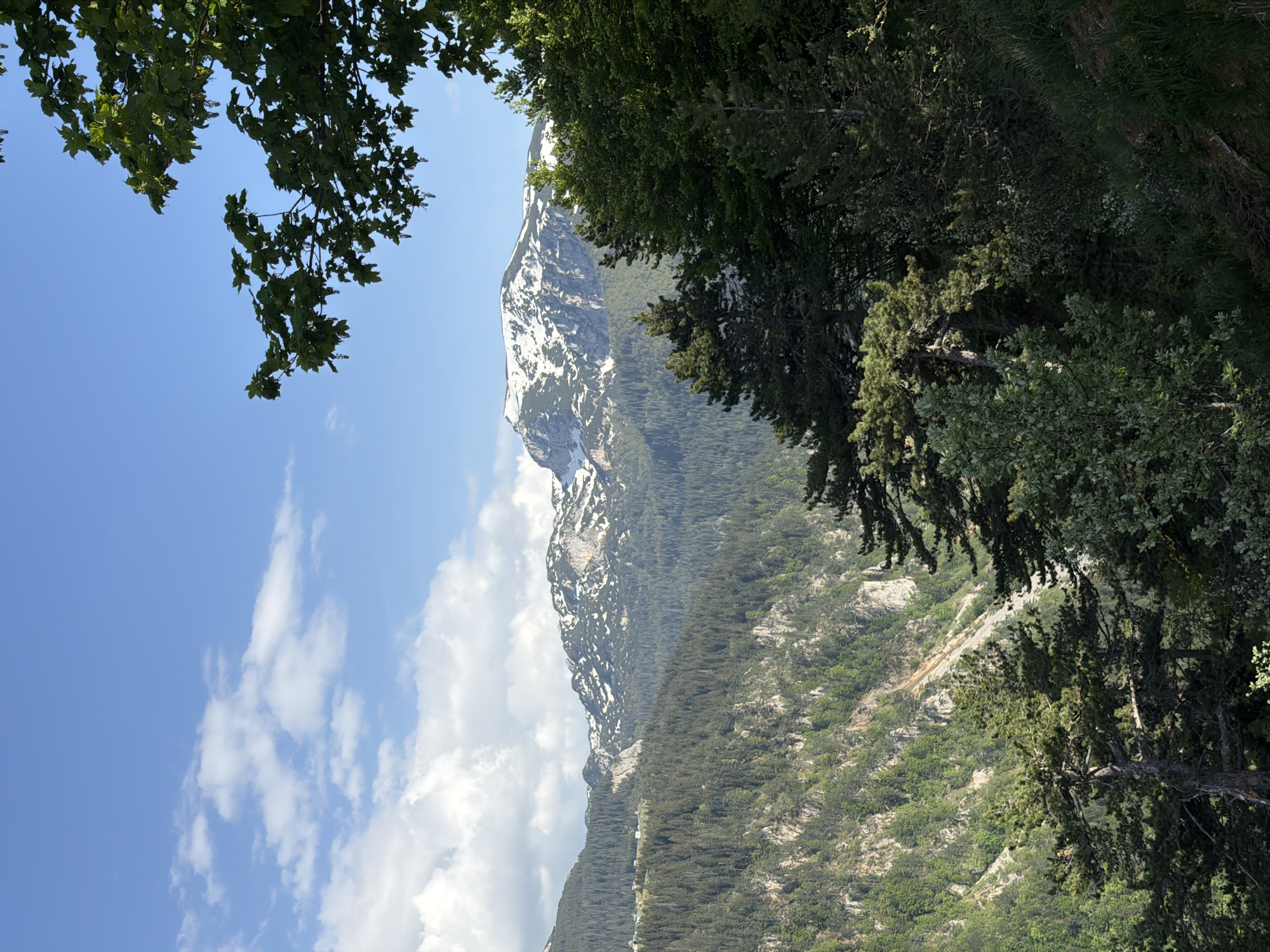 The image captures a mountain landscape in Nedajno, Montenegro, featuring a snow-capped mountain peak framed by foliage in the foreground. The left side of the image shows a blue sky with white, scattered clouds, contrasting with the right side dominated by green trees and vegetation. The mountain's rocky terrain is visible, with patches of snow highlighting its contours. The lower slopes are covered with a dense forest, extending down to a road that is visible in the middle ground. The overall scene is a natural landscape, emphasizing the mountainous terrain and lush greenery characteristic of the region.
