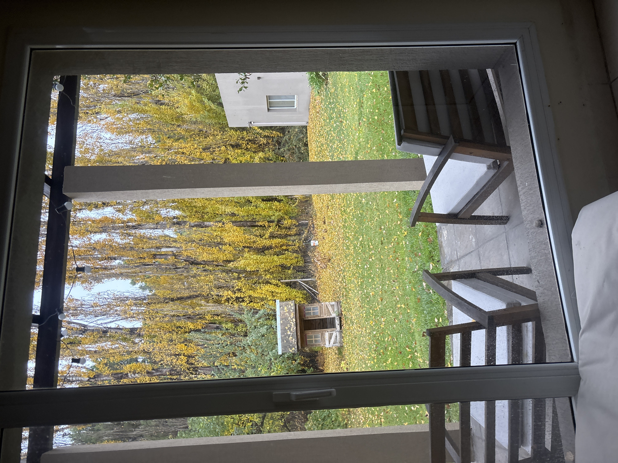 View from inside a building, through a window, looking out onto a yard with yellow trees, a building, and a wooden structure. There are chairs on a patio outside the window. The scene appears to be located in Trelew, Argentina.