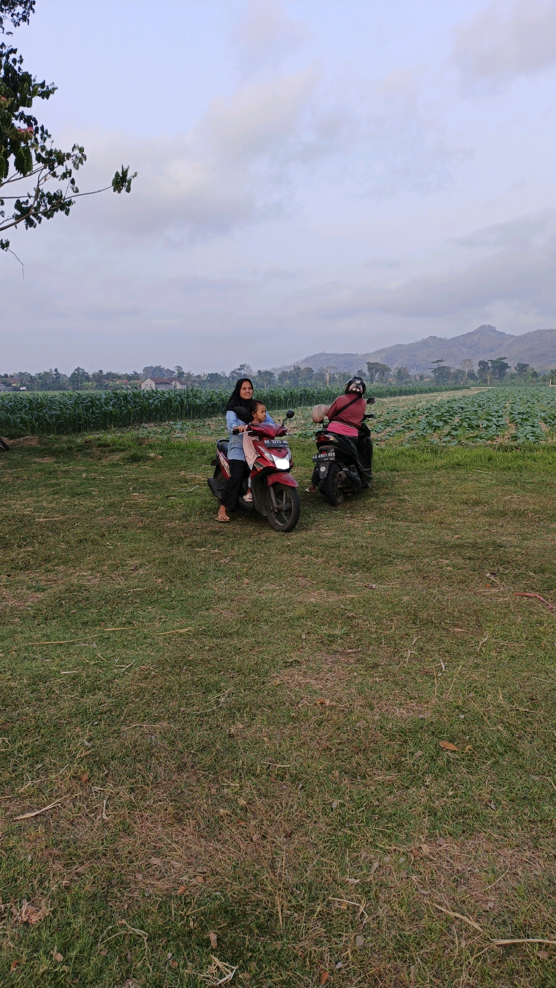 Two individuals are on motorcycles in a grassy field, with cultivated crops in the background and hills in the distance. The person in the foreground on a red motorcycle appears to be a woman wearing a black hijab and blue shirt, with a young child in her lap. The child is wearing a light blue shirt. The red motorcycle has a license plate that reads "AG 2272 WB". The second motorcycle, parked behind the first, is black and is ridden by a person wearing a pink shirt and helmet. This motorcycle has a license plate that reads "AG 4991 RES". The field is covered in green grass, and behind it are rows of green crops, possibly corn or tobacco, extending to a line of trees and a rolling landscape with hills under a cloudy sky. The image appears to be taken in the village of Boyolangu, Indonesia.