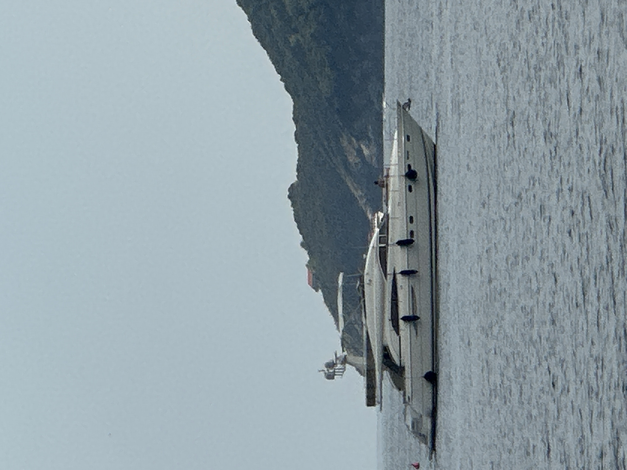 A large white yacht is anchored in calm, choppy grey water off the coast of Budva, Montenegro. The yacht is oriented horizontally and is positioned in the center of the frame. It has multiple decks, windows, and railings. Several dark fenders hang from its side. In the background, a lush, green, tree-covered mountain rises steeply from the water. The sky is a pale, overcast blue. A small red buoy is visible to the left of the yacht. A single person stands on the deck of the yacht, facing towards the right side of the frame.