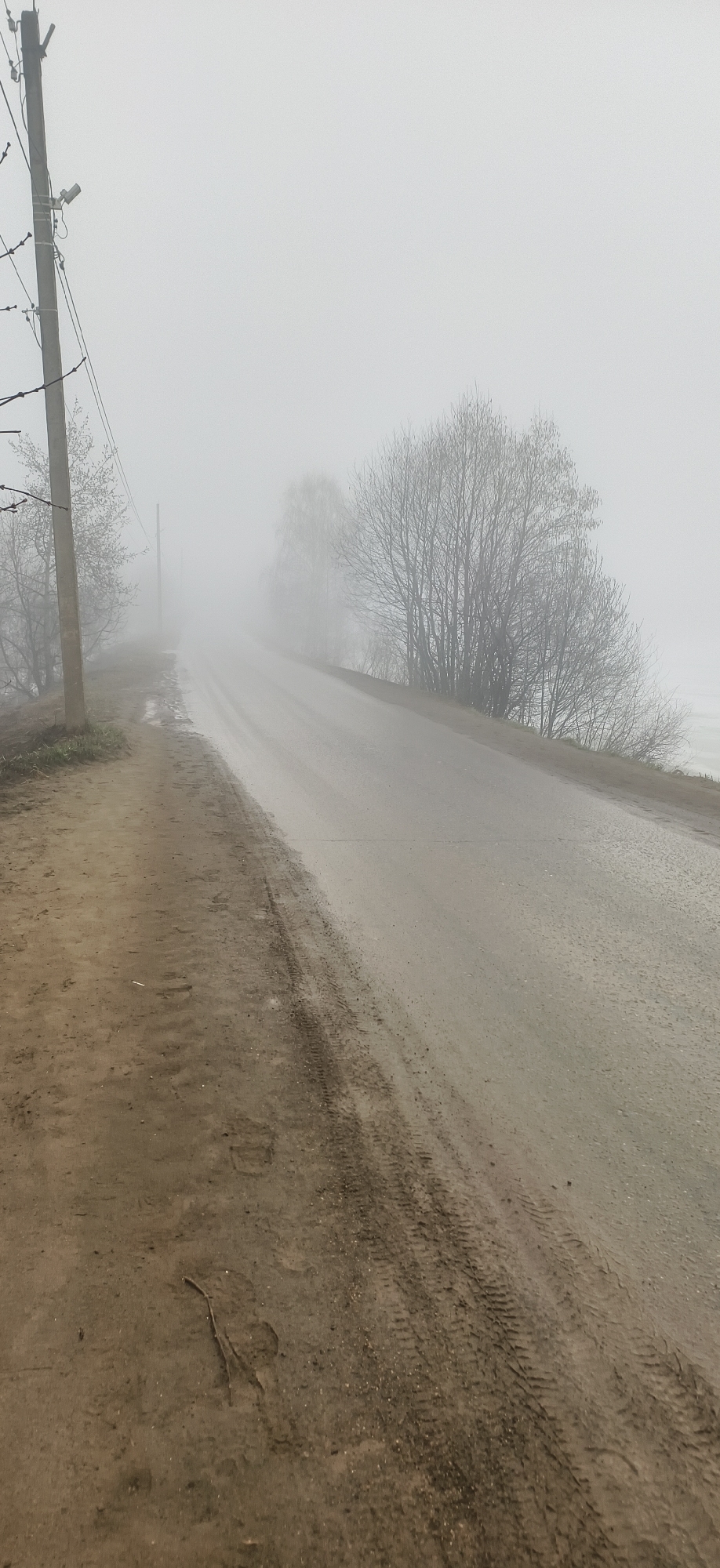 The image depicts a rural scene in Фоки, Russia on a foggy day. An asphalt road stretches into the distance, obscured by heavy fog. Bare trees line the side of the road. To the left of the road is a dirt shoulder with tire tracks and a few sticks. A utility pole stands at the edge of the road. The overall visibility is low due to the dense fog, obscuring the environment beyond the immediate foreground.