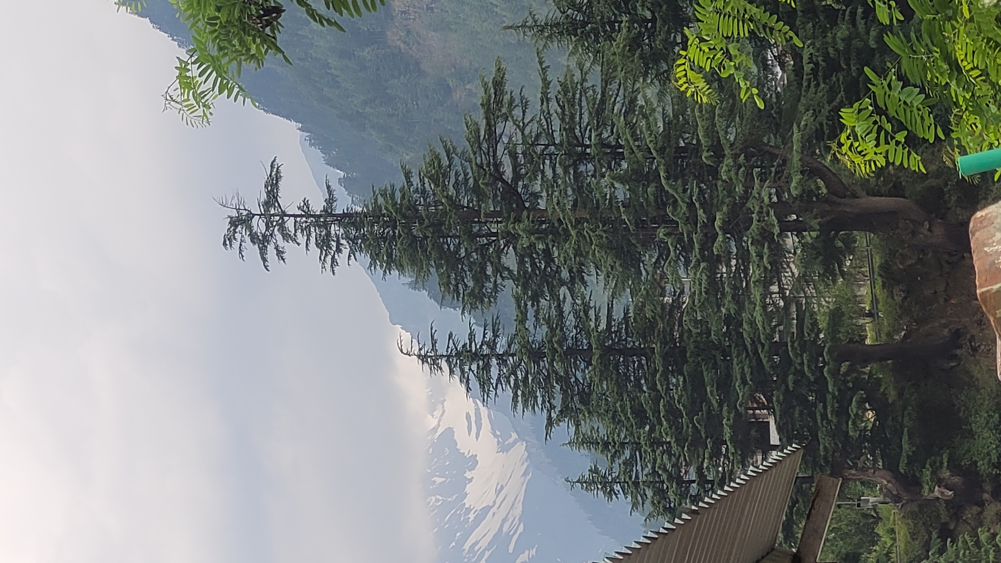 The image captures a scenic view of the mountains near Vashisht, India, under a cloudy sky. In the foreground, several tall, mature pine trees with dense green foliage dominate the scene. The trees are in various stages of growth, with some appearing younger and slimmer, while others are thicker and more established.
Behind the pine trees, a majestic mountain range rises, its peaks partially obscured by mist and clouds. Snow-capped sections of the mountains are visible, indicating a high altitude. The slopes are covered in lush green vegetation, suggesting a forested area.
To the left of the image, a portion of a building with a slanted, corrugated metal roof is visible. The roof's edge is lined with triangular decorative elements. The building appears to be a structure in the village, possibly a guesthouse or a residential building.
The overall impression is one of natural beauty and tranquility, characteristic of the Himalayan foothills. The cloudy weather contributes to a soft, diffused light, enhancing the moody atmosphere of the landscape. No people or animals are visible in the frame.