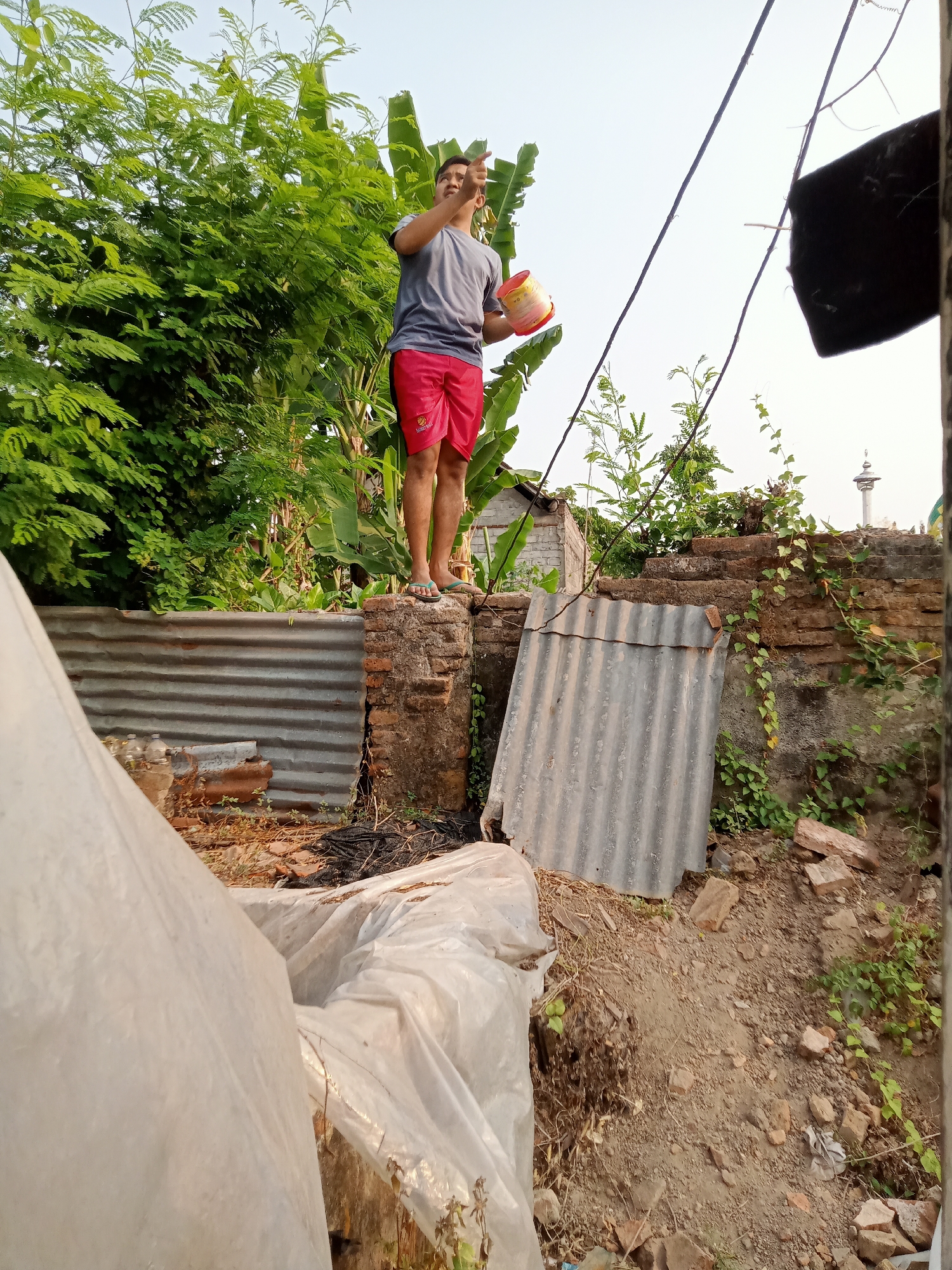 A young man stands on a brick platform in Simo, Indonesia, holding a yellow and red plastic bucket. He is wearing a grey t-shirt and red shorts. He is pointing his left hand upwards, toward the sky, and looking in the same direction. Behind him, lush green foliage, including banana trees, surrounds him. In the foreground, a white tarp is draped over unseen objects, partially obscuring the lower portion of the image. To the right of the man, a dilapidated brick wall is covered in vines, and corrugated metal sheets lean against it. In the distance, a white minaret is visible, suggesting the presence of a mosque. The scene appears to be an outdoor area with a mix of natural elements and discarded materials, possibly a backyard or a construction site.