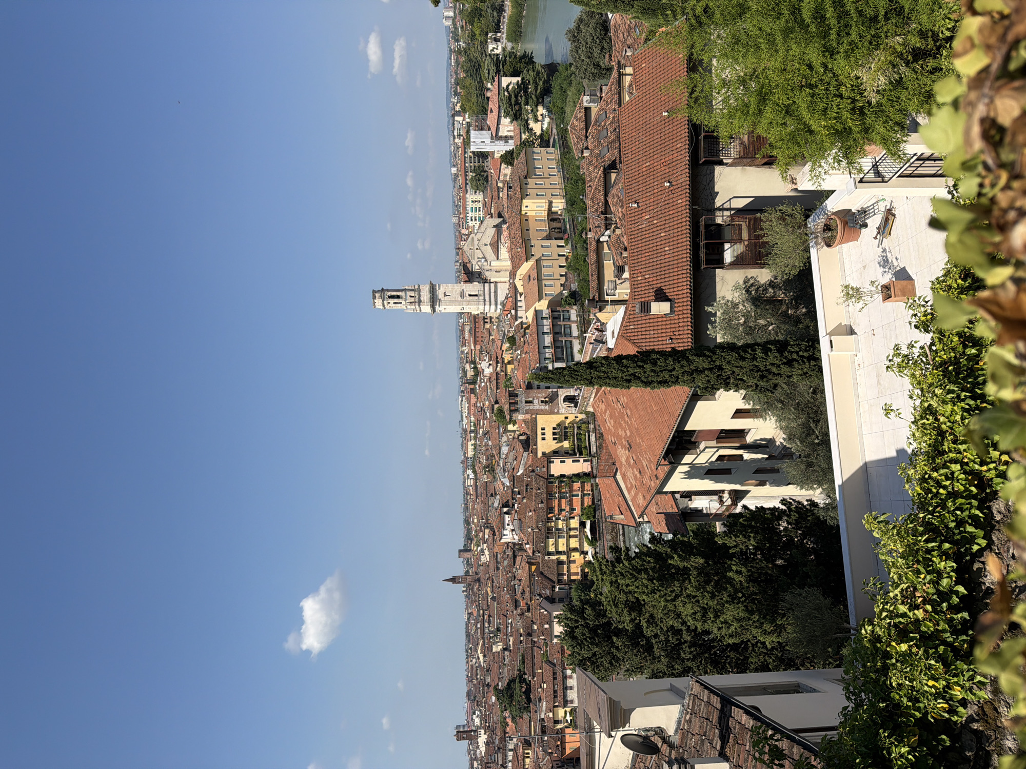 This is a photograph of a cityscape taken from an elevated viewpoint. The scene depicts a dense collection of buildings with terracotta tiled roofs, characteristic of Verona, Italy. In the background, a tall, slender bell tower with arched openings dominates the skyline, likely belonging to a church or cathedral. To the right, a river flows through the city, bordered by lush green trees and vegetation. The sky is a clear, bright blue with a few scattered white clouds. In the foreground, foliage obscures the lower portion of the image, suggesting the vantage point is from a balcony or a higher floor. The buildings are varied in color, with many painted in shades of ochre, yellow, and terracotta, contributing to the warm, Mediterranean atmosphere. The overall impression is of a historic European city bathed in sunlight.