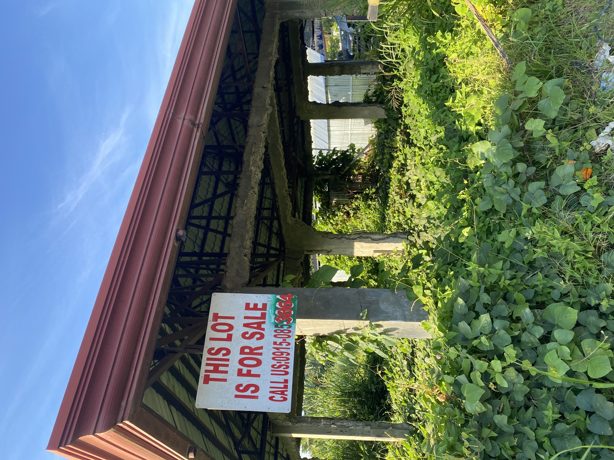 A "FOR SALE" sign is affixed to a concrete pillar in front of an unfinished structure, possibly a gazebo or pavilion, with a red metal roof. The structure appears to be open-air with concrete pillars supporting a roof framework. Dense green foliage and vegetation cover the ground around the pillar and within the structure, obscuring much of the lower part of the scene. The sky above is clear and blue with a few wispy clouds. The sign reads "THIS LOT IS FOR SALE" in red capital letters and "CALL US: 0915-0853364" in red and green lettering. The overall impression is one of an undeveloped or neglected property. The setting is likely a suburban or rural area within Davao City, Philippines, given the climate and vegetation.