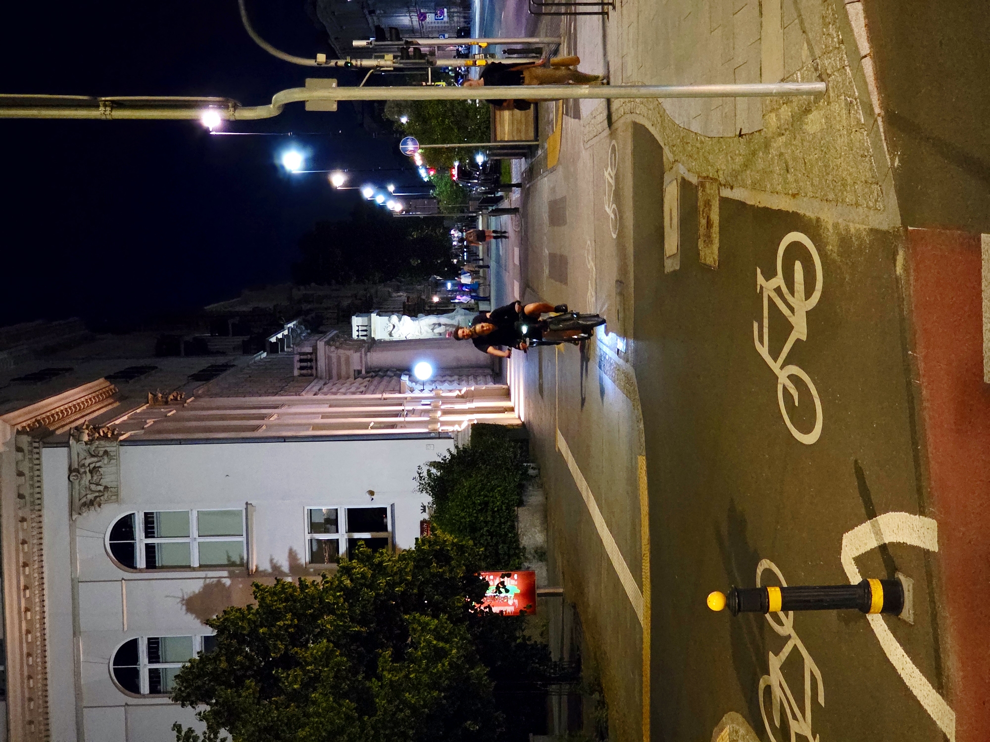 The image depicts a night scene on a city street in Warsaw, Poland, specifically at the intersection of Marszałkowska Street and Aleje Jerozolimskie, near the Centrum metro station. The foreground shows a bike lane with painted bicycle symbols. A black bollard with yellow bands stands in the bike lane. Two individuals are riding bicycles on the bike lane, with the person in front wearing a black t-shirt and the person behind wearing a black t-shirt and shorts. They are illuminated by streetlights and the headlights of their bicycles.
To the left of the bike lane is a sidewalk and a large, light-colored building with arched windows and decorative architectural elements. A lush green tree stands in front of the building, partially obscuring it. A digital advertisement is visible on a pole near the tree, displaying a red background with abstract colorful shapes.
To the right of the bike lane is a pedestrian walkway paved with light-colored stones. A tall silver lamppost with a complex structure is prominent on the walkway, along with traffic lights and street signs. Further down the street, other pedestrians are visible, as are parked cars and more streetlights. The overall atmosphere is that of a busy urban environment at night, with artificial lighting creating distinct shadows and highlights.