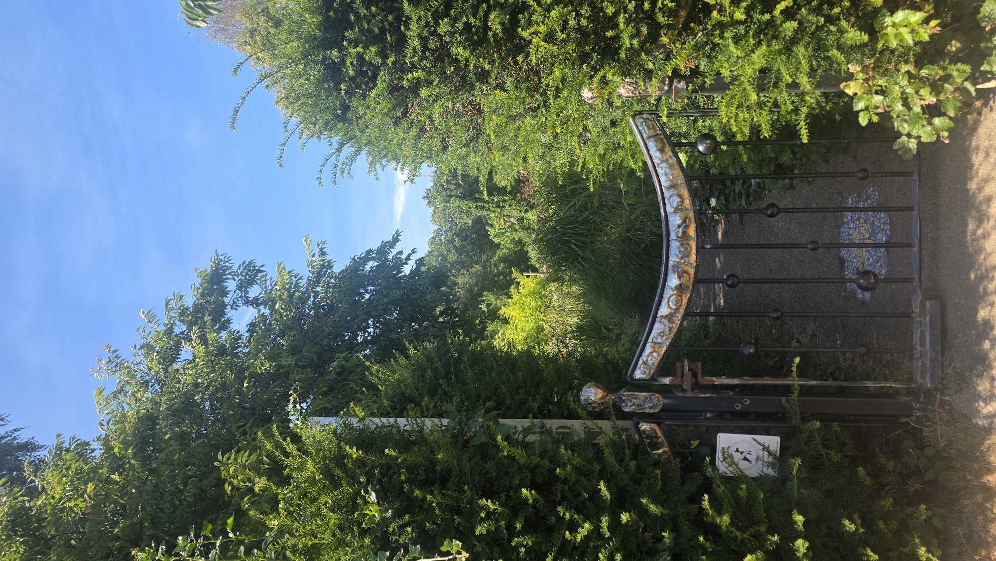 An open black metal gate with a decorative, curved top, allows access to a garden path. The gate is flanked by dense, dark green evergreen shrubs. Beyond the gate, the path leads into a lush, overgrown garden with a variety of green foliage and trees under a clear blue sky. A small circular mosaic design is visible on the ground directly in front of the gate. A sign depicting dogs is attached to the left gatepost. The scene is outdoors in what appears to be a residential garden. The location is St Leonards, United Kingdom.