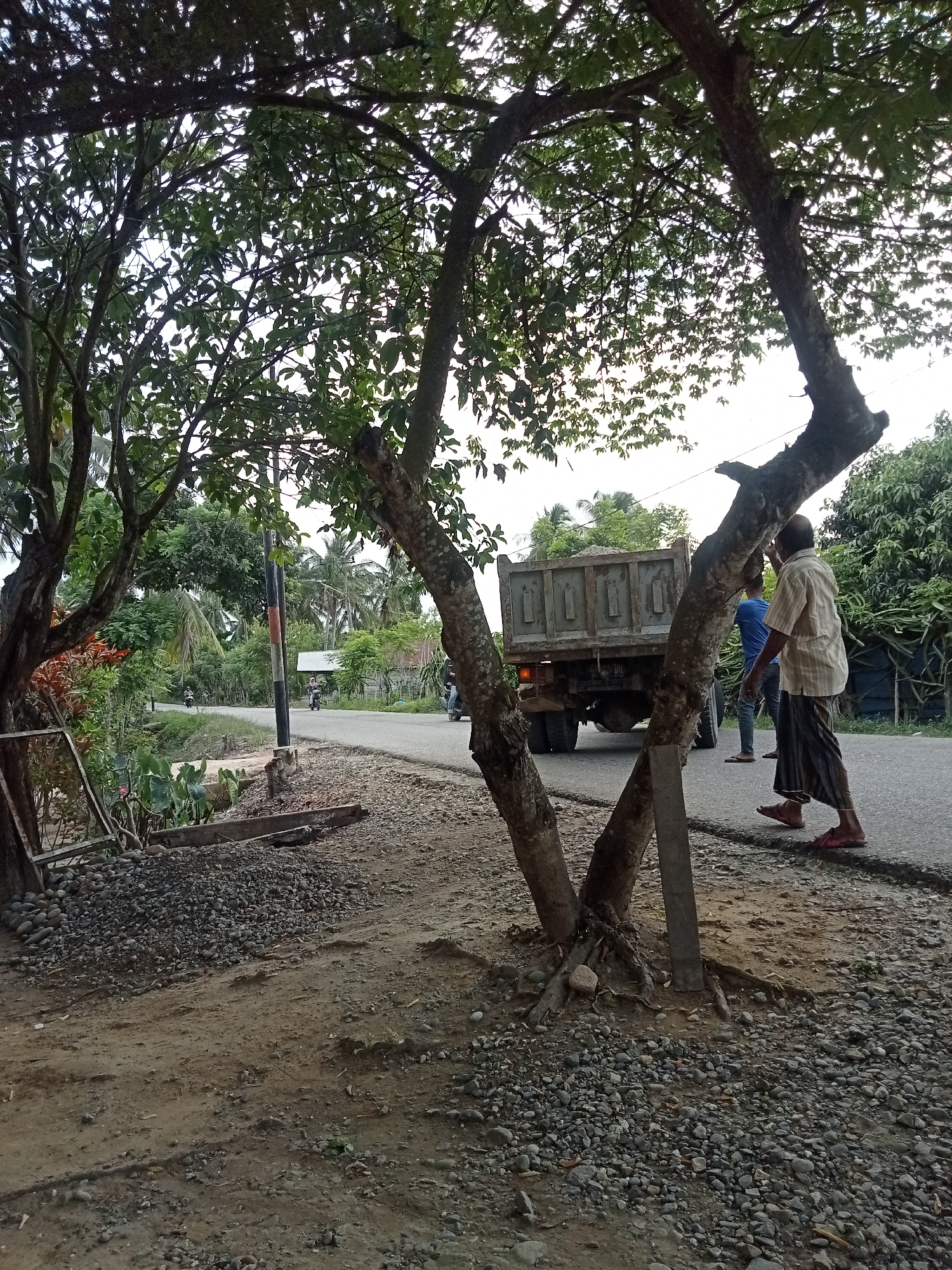 The image depicts a street scene in Matangsijuek Timur, Indonesia, characterized by a rural or semi-rural environment. A paved road runs through the center, bordered by a dirt and gravel shoulder on the left. On the right side of the road, two men are standing near a parked dump truck loaded with gravel. The man closer to the truck wears a light-colored plaid short-sleeved shirt and a striped sarong, with his right hand raised as if signaling or waving. The second man, wearing a blue t-shirt and jeans, stands behind him. A large tree with exposed roots is prominently in the foreground on the right, its trunk partially obscuring the men.
The background features lush green vegetation, including trees and palm trees, suggesting a tropical climate. A utility pole with red and black markings stands on the left side of the road, near some foliage. A few motorcycles are visible on the road in the distance, indicating some traffic. The sky is overcast or hazy, with the light suggesting it is either early morning or late afternoon. The overall impression is one of everyday life in a village or small town setting.