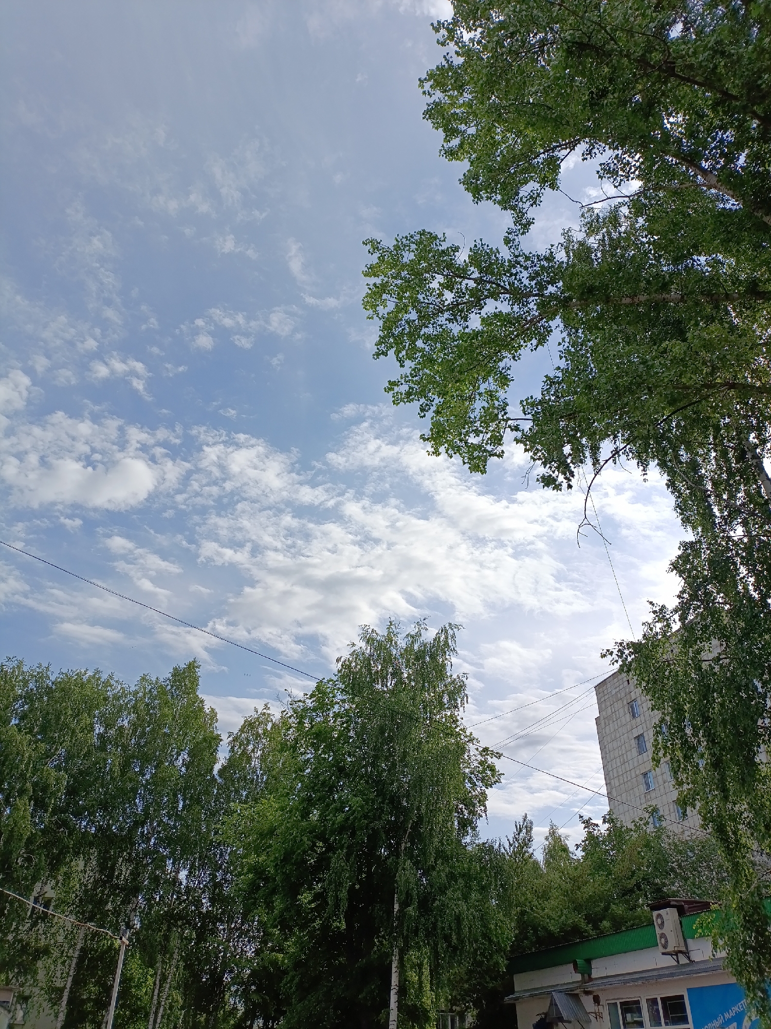 The image depicts a view from an urban area, likely in Chaikovsky, Russia, given the Cyrillic script visible on a sign on one of the buildings. The sky is mostly blue with scattered white clouds. Trees with green foliage dominate the foreground, obscuring much of the built environment. In the midground, a light-colored building with multiple floors is partially visible through the trees. Power lines run across the sky. In the lower right, a building with a green roof and an air conditioning unit is visible. The overall scene suggests a residential or mixed-use area with mature trees and buildings of moderate height. There are no people visible in the image.