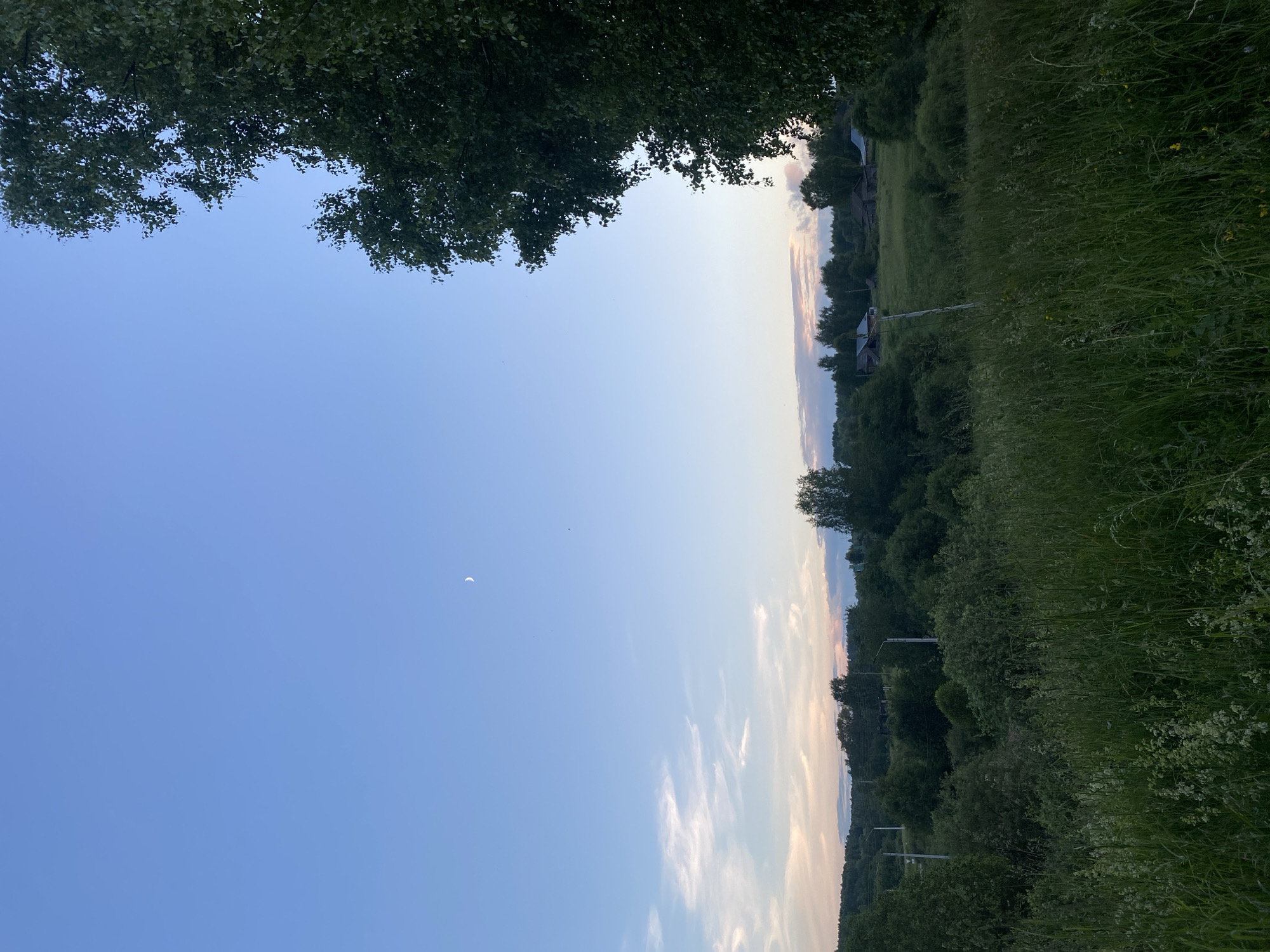 The image captures a rural landscape at dusk in the vicinity of Вассята, Russia. The sky is a gradient of deep blue at the top, transitioning to lighter hues of blue and pink near the horizon, with wispy clouds. A sliver of the moon is visible in the upper left quadrant of the sky. In the foreground, tall green grass and wildflowers create a dense meadow. The middle ground is filled with a variety of lush green trees and bushes, interspersed with what appear to be a few scattered wooden houses and utility poles, suggesting a small village or hamlet. The atmosphere is serene and natural, indicative of an evening in the Russian countryside.
