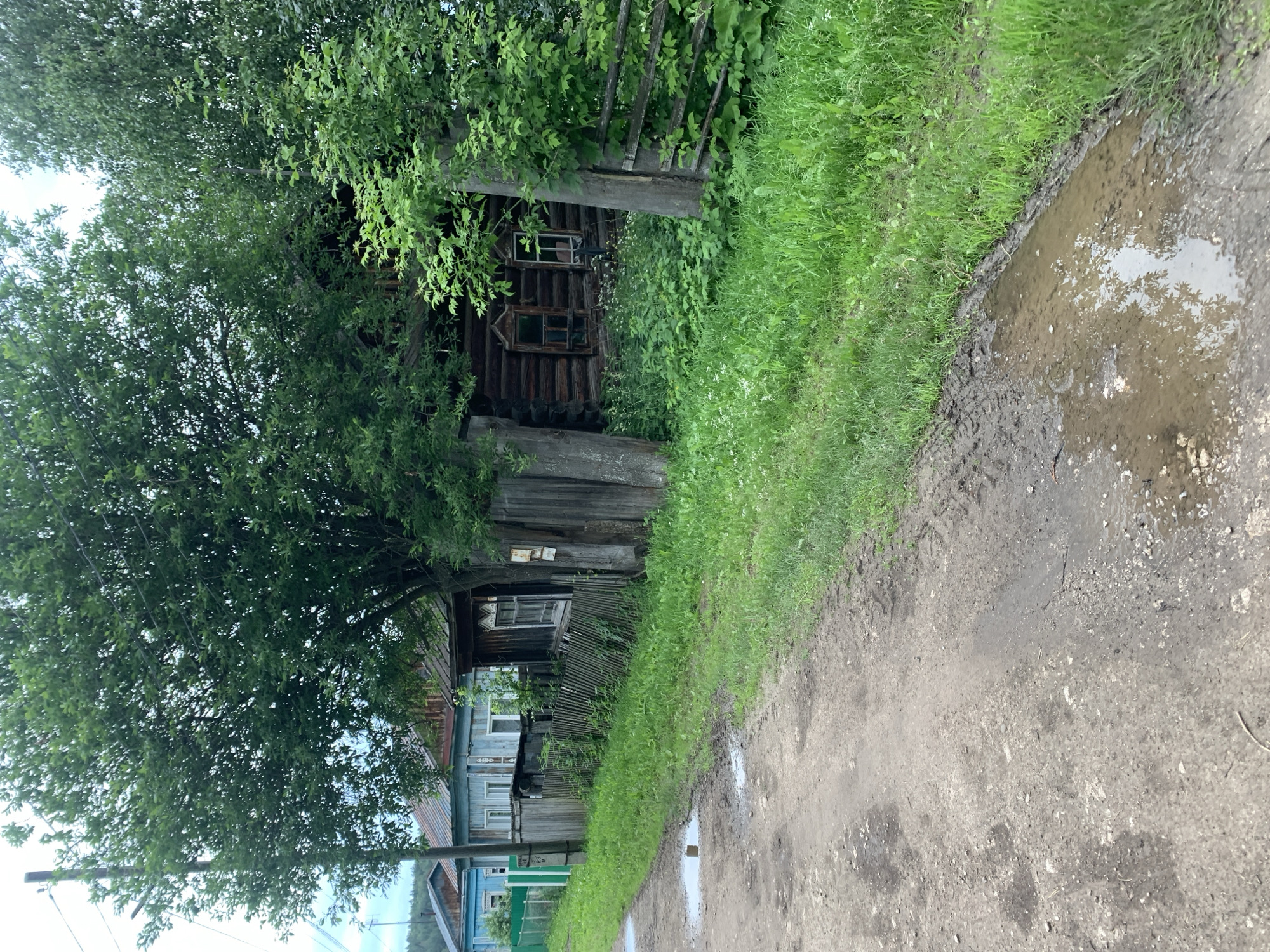 A rural scene in Barsai, Russia shows a muddy dirt road with puddles, lined by lush green grass and a weathered wooden fence. Behind the fence, several wooden houses are visible, partially obscured by dense trees and foliage. One log house, in particular, stands out with its dark wood and intricately carved window frames. The sky above is overcast.