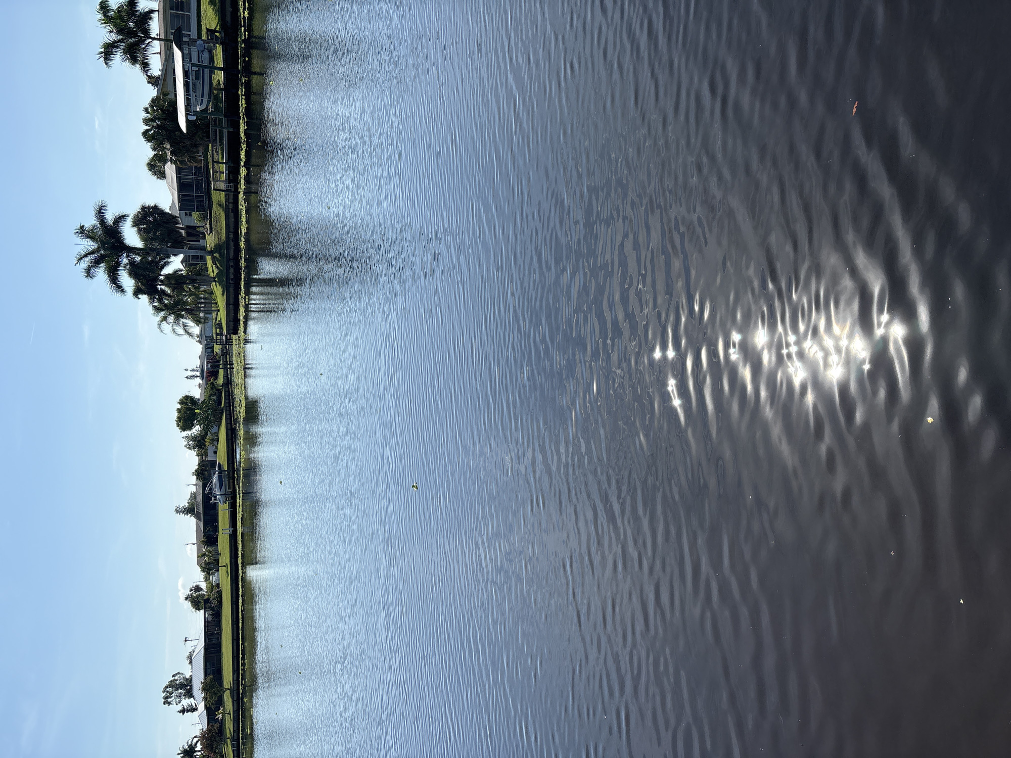 The image depicts a tranquil canal scene in North Port, Florida, bathed in the bright sunlight of what appears to be a clear day. The perspective is from the water, looking towards the canal bank lined with lush green grass and mature palm trees. Several houses are visible nestled behind the vegetation, suggesting a residential area. One house has a boat lift with a boat on it, indicating a common activity for residents in this waterfront community. The water itself is calm, with gentle ripples reflecting the sunlight, creating a shimmering effect. A small, reddish boat is visible in the distance on the water. The overall impression is one of peaceful, everyday life in a warm climate. The time of day is likely midday, given the brightness of the sun and the clear sky. There is no visible text in the image.