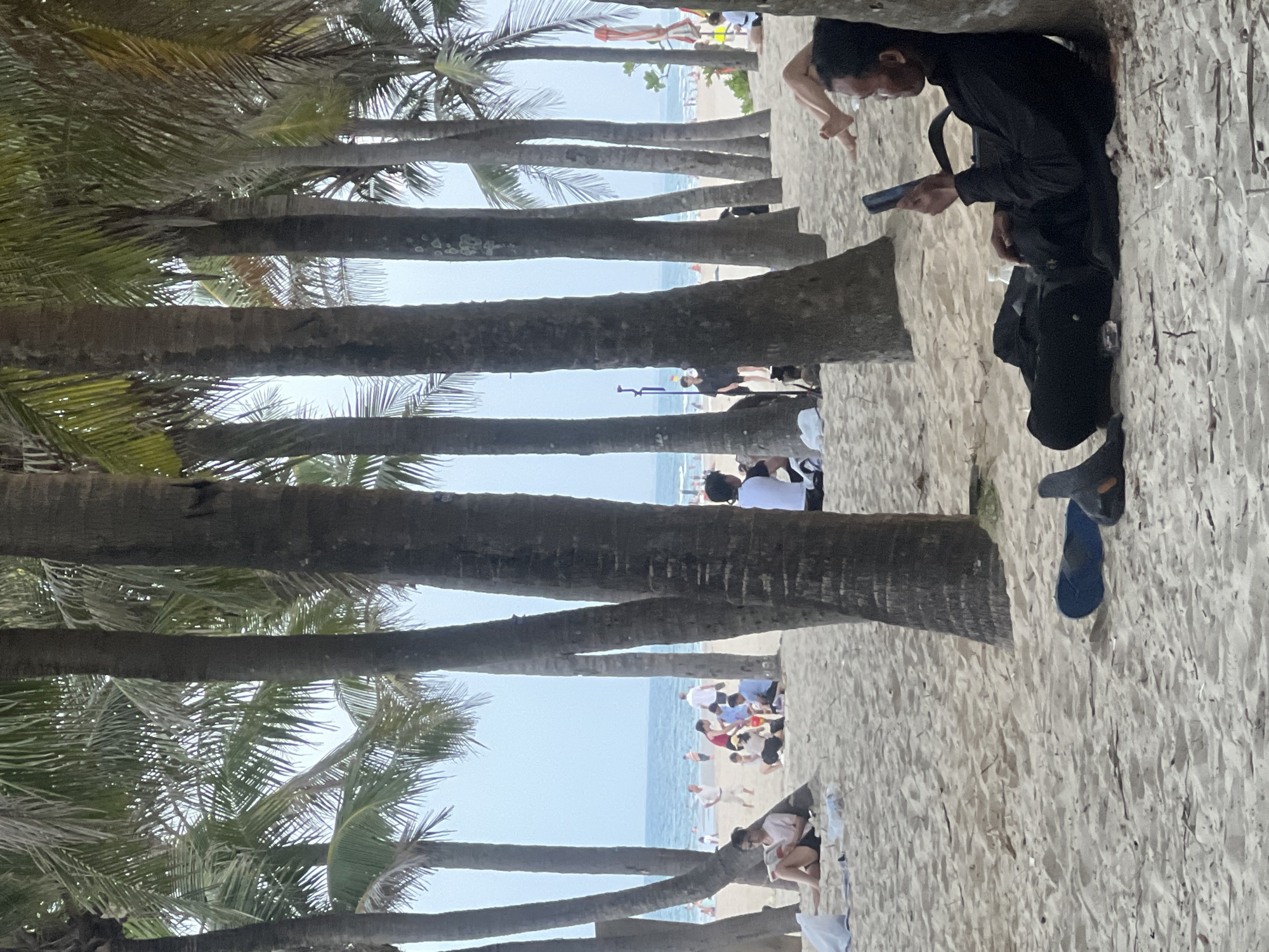 The image depicts a crowded beach in Đà Nẵng, Vietnam, characterized by rows of palm trees lining the sandy shore. In the foreground, a man wearing a black shirt and pants leans against a palm tree, engrossed in his mobile phone. His legs are crossed, and a pair of dark sandals lies near him. Scattered on the sand are a blue flip-flop and other miscellaneous items.
Further into the scene, other beachgoers are visible. A woman in a pink shirt and black shorts sits on the sand reading a book. To her right, a group of people are gathered, including a woman in a blue top and children. In the background, numerous individuals are walking along the shoreline and interacting in the water. The ocean stretches out towards the horizon, with gentle waves and a hazy sky above. The overall atmosphere suggests a lively and active beach environment.