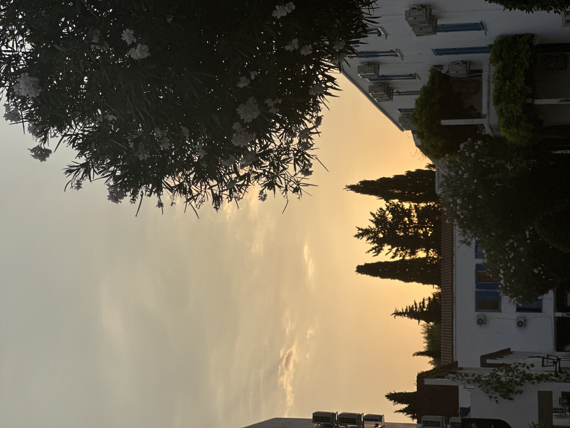 The image depicts a sunset view in Budva, Montenegro. The sky is a warm gradient of yellow and orange, with some wispy clouds. In the foreground, a large, dark tree with white flowers is silhouetted against the sky on the right side of the frame. Several buildings with white exteriors and blue shutters are visible. Some of the buildings have multiple air conditioning units mounted on their walls. Cypress trees are silhouetted against the sky in the middle ground, adding to the Mediterranean atmosphere. The scene appears to be a residential or hotel area, with the architecture suggesting a warm climate. There are no people visible in the image.
