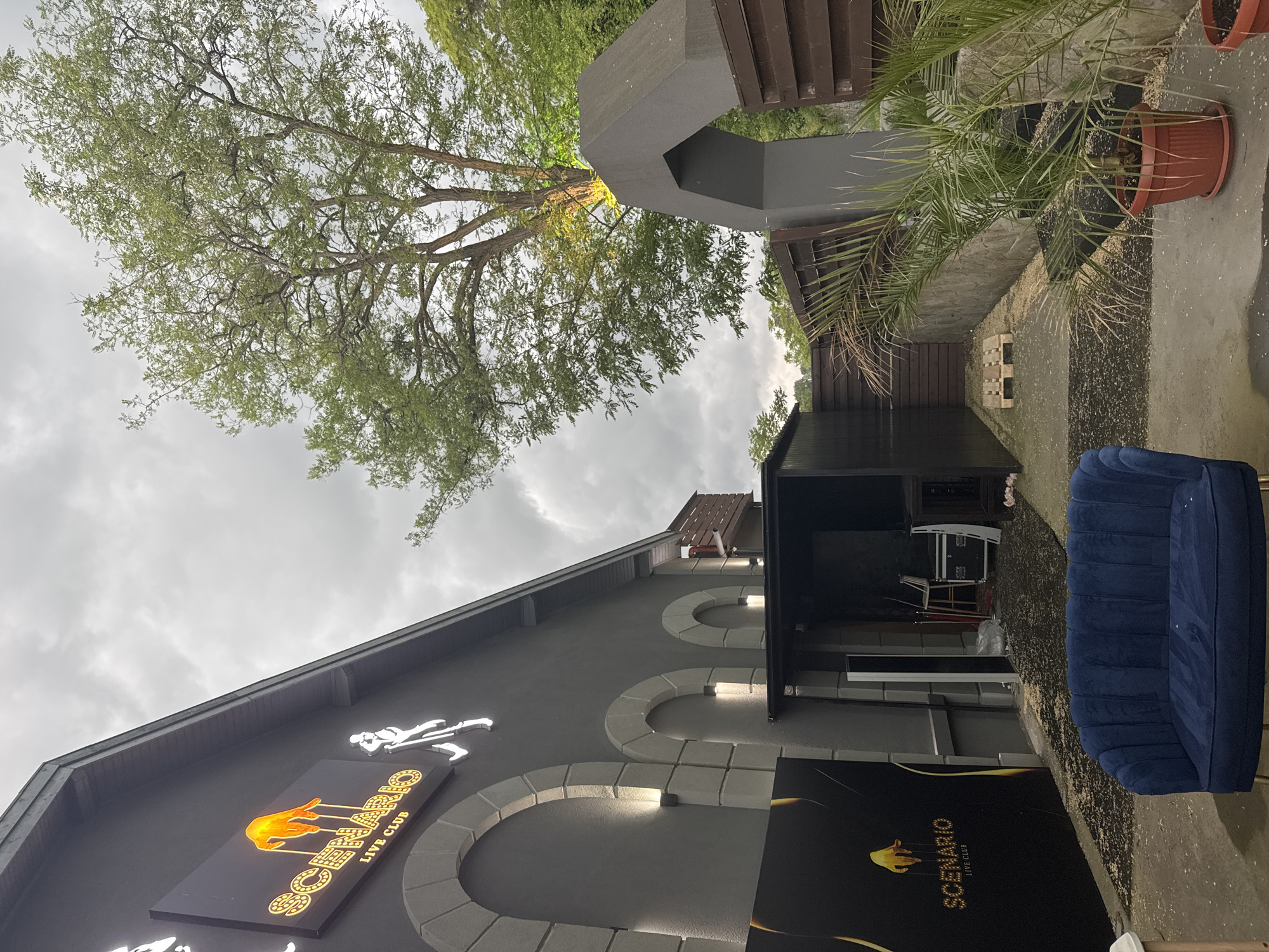 This image captures the outdoor area of the "Scenario Live Club" in Tsarevo, Bulgaria, under an overcast sky. The scene is dominated by a two-story building with dark grey walls and a dark, sloped roof. The facade features decorative, light grey arched patterns, with some segments subtly illuminated.
Two prominent signs adorn the building. The main sign, a rectangular black panel, displays "SCENARIO" in stylized golden letters with "LIVE CLUB" beneath it. Above the "SCENARIO" text is an illuminated orange logo depicting a hand controlling strings, resembling a puppet master. A large, black vertical sign to the right of the entrance also features "SCENARIO LIVE CLUB" in gold. Above the main sign, a white silhouette of a person, possibly a dancer, is fixed to the wall.
An outdoor lounge area is set up with a plush, dark blue velvet sofa featuring a ribbed design. The ground is concrete, with scattered light-colored debris, likely seeds or leaves. To the left, a large tree with a thick trunk and abundant green foliage reaches into the cloudy sky. Its canopy is dense, with discernible branches. On the right, a smaller, palm-like plant in a red terracotta pot adds a touch of greenery.
Various structures define the outdoor space, including a dark grey angular architectural element, dark wooden fences or walls, and a small dark wooden shed or utility building in the background. Some white equipment, possibly a pallet or stage components, is visible near the shed. The sky is uniformly cloudy and grey, indicating an overcast day. No people are present, and no specific activity is occurring, but the setting clearly identifies the location as a commercial entertainment venue.