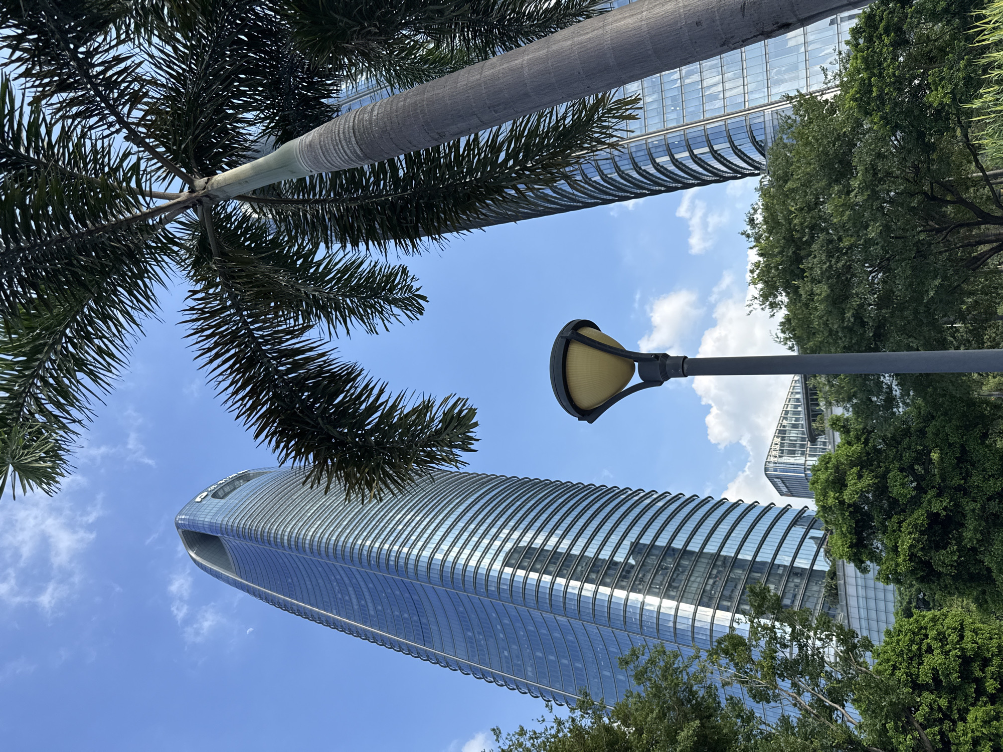The image displays a low-angle view of modern skyscrapers in Haizhu District, China, juxtaposed with lush green trees and palm trees. A street lamp with a yellow lantern sits in the foreground, positioned between a tall, curved glass skyscraper on the left and another skyscraper partially visible on the right. The sky is a clear blue with scattered white clouds. The architecture of the buildings suggests a contemporary urban setting, with the reflective glass facades of the skyscrapers mirroring the surrounding environment and sky. Green foliage from trees frames the lower and middle sections of the image, creating a contrast between nature and urban development. The overall scene captures a bright, daytime ambiance.