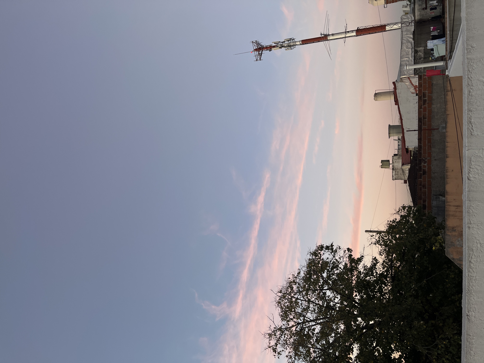 The image displays an urban or semi-urban scene in Buenos Aires, Argentina, captured during either sunrise or sunset. The sky occupies a significant portion of the frame, transitioning from a light blue-gray on the left to gentle pink and pale orange tones on the right. Wispy, elongated pink clouds streak across the sky, suggesting a calm atmosphere.
On the upper right, a prominent red and white striped communication tower stands tall, featuring multiple antennas and structural components. Below the tower and extending along the right side of the image, the rooftops of various buildings are visible. These roofs are primarily flat or low-pitched, constructed with exposed brick, concrete, and some painted white sections. Several white water tanks (tinacos) are installed on the rooftops, and clothes are seen hanging on a laundry line on one of the buildings, indicating residential use. Utility lines or cables crisscross the sky near these structures.
In the lower right, a large, dark green tree with dense foliage and intricate branches partially obstructs the view of the sky and the lower buildings. The extreme right edge of the image is framed by a light-colored concrete or stucco wall, likely part of the structure from which the photograph was taken. The scene is devoid of direct human activity, focusing instead on the architectural elements and the natural beauty of the sky at twilight or dawn. No visible text is present.