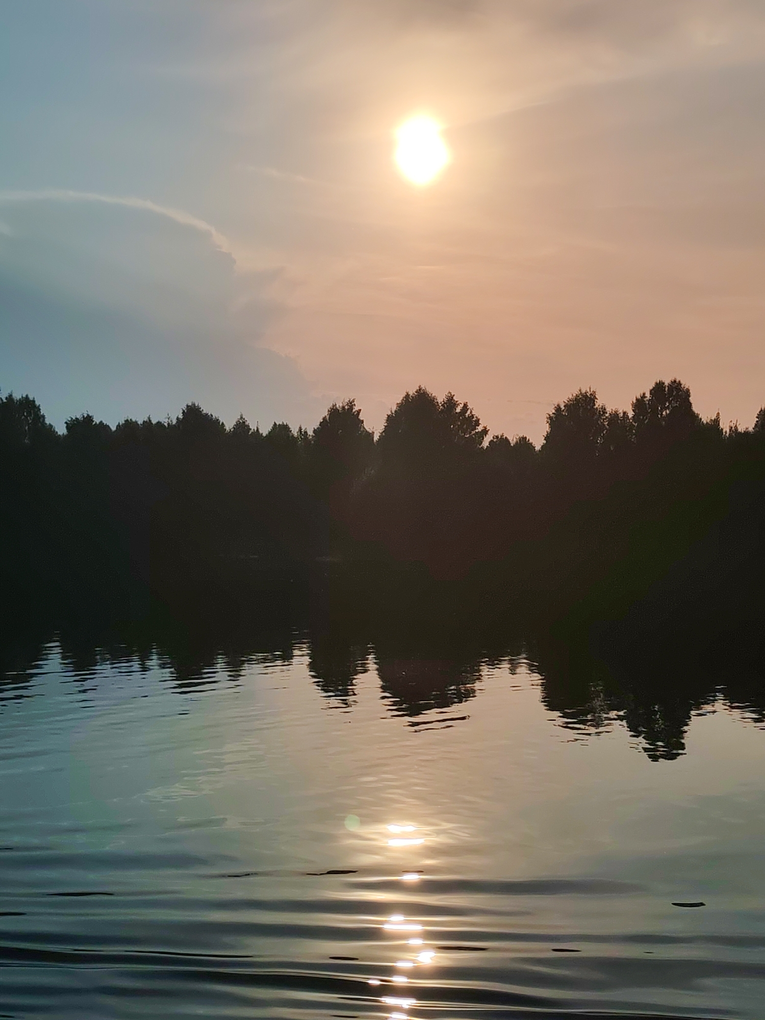 The image captures a tranquil sunset over a body of water, likely a lake or river, in Tarkanovo, Russia. The sun, a bright, luminous orb, hangs low in the sky, casting a warm, golden-pink hue across the upper atmosphere. Wisps of clouds are visible, tinged with the sunset colors, creating a soft, ethereal backdrop. Below the sky, a dark silhouette of a dense forest stretches across the horizon, its trees appearing as dark, jagged shapes against the fading light. The water in the foreground reflects the sky and the trees, creating a mirror image that is slightly rippled by gentle waves. The reflections of the sun on the water are particularly striking, appearing as streaks of bright light dancing on the surface. The overall mood is one of peacefulness and natural beauty, characteristic of a serene evening in a rural or natural setting. The time of day is clearly sunset, indicated by the low angle of the sun and the colors in the sky. There is no visible text in the image.