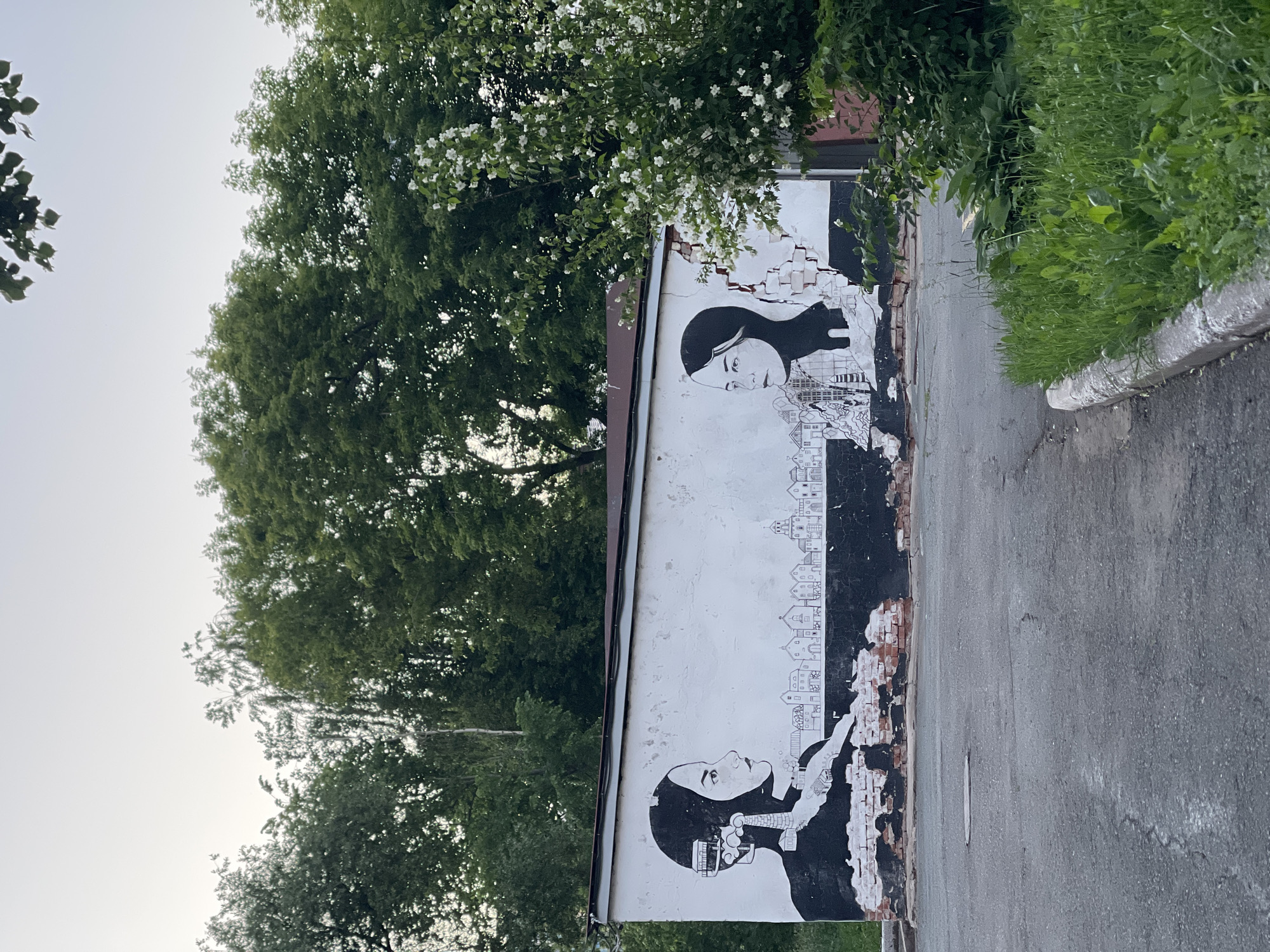 This is a medium-shot, eye-level, outdoor photograph of a mural painted on the side of a white, brick building. The mural is rendered in black and white and depicts two women's profiles facing each other. The woman on the left has a detailed cityscape integrated into her head and neck, including buildings, a smokestack emitting smoke, and a train. The woman on the right has a more abstract representation of buildings and a single building with a spire. Below the women's profiles, there is a horizontal line of small, detailed buildings. The mural is cracked and weathered, with exposed brick visible in several areas. To the right of the building, a lush green bush with small white flowers is in bloom. The ground in front of the building is asphalt, with some cracks and a circular manhole cover. In the background, mature green trees form a dense canopy against a pale sky. The overall impression is one of urban decay contrasted with natural growth and artistic expression.
