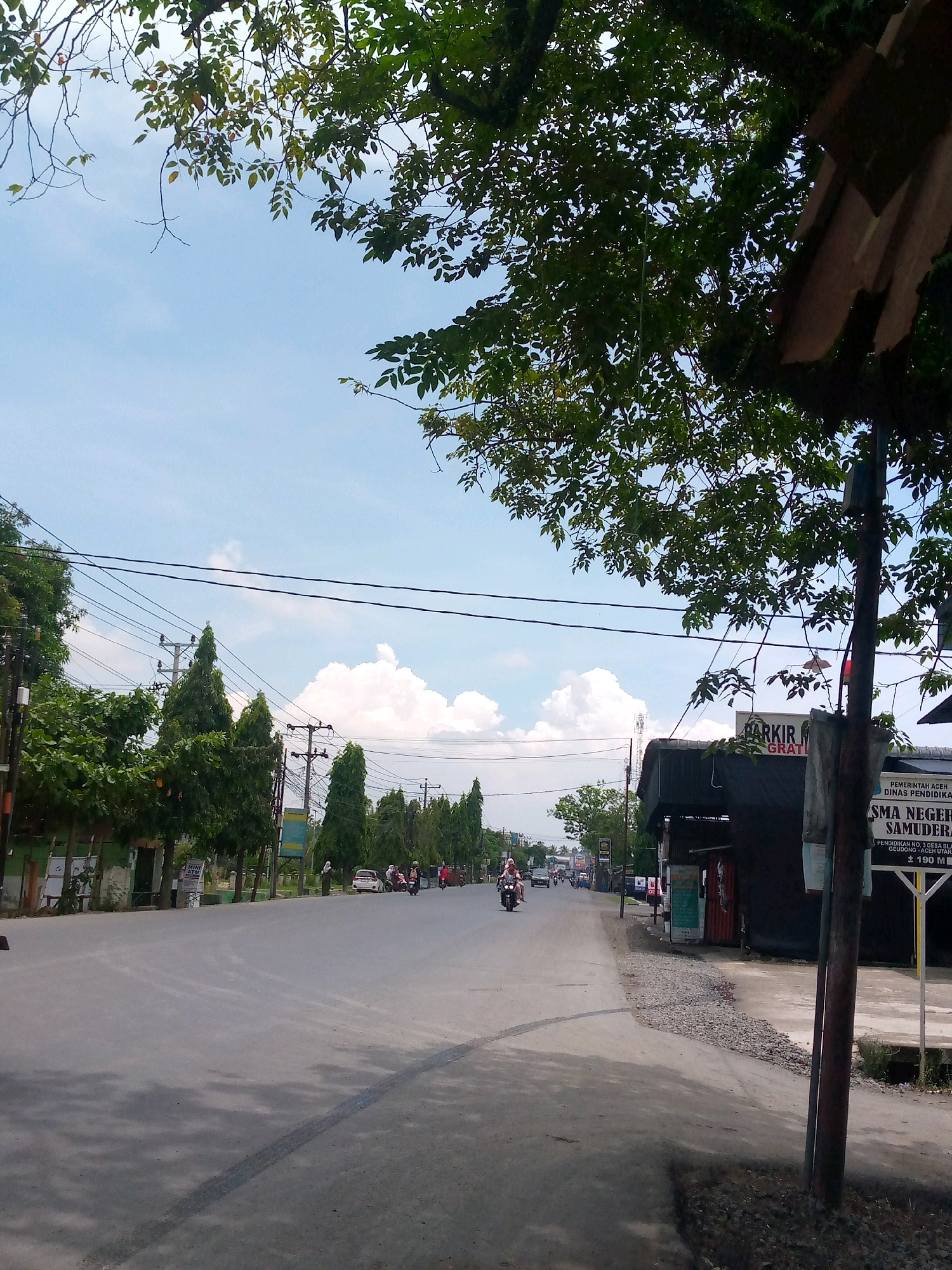 A daytime, eye-level, medium shot captures a two-lane asphalt road running through a semi-urban area. On the left, a row of green trees lines the road, some with leafy branches extending over the asphalt. Beyond the trees, a low green fence is visible, with the corner of a white building peeking out. Further down the road, several tall, slender green trees stand, interspersed with utility poles and wires crisscrossing the sky. Cars and motorcycles are present on the road, with some vehicles parked on the left side.
On the right side of the road, a dark-colored building with a corrugated roof is situated. A sign on this building reads "PARKIR GRATIS". Another sign, in white with black and red lettering, is mounted on a pole in front of the building. It appears to be an educational institution's signage, with text including "PEMERINTAH ACEH DINAS PENDIDIKAN" and "SMA NEGERI SAMUDERA". This suggests the location is in or near Keudebayu, Indonesia. The road surface has tire marks visible. The sky is blue with scattered white clouds, and the top of the frame is filled with the dense green foliage of a tree, some branches hanging down. A rough, rocky area is present on the right shoulder of the road, near the building.