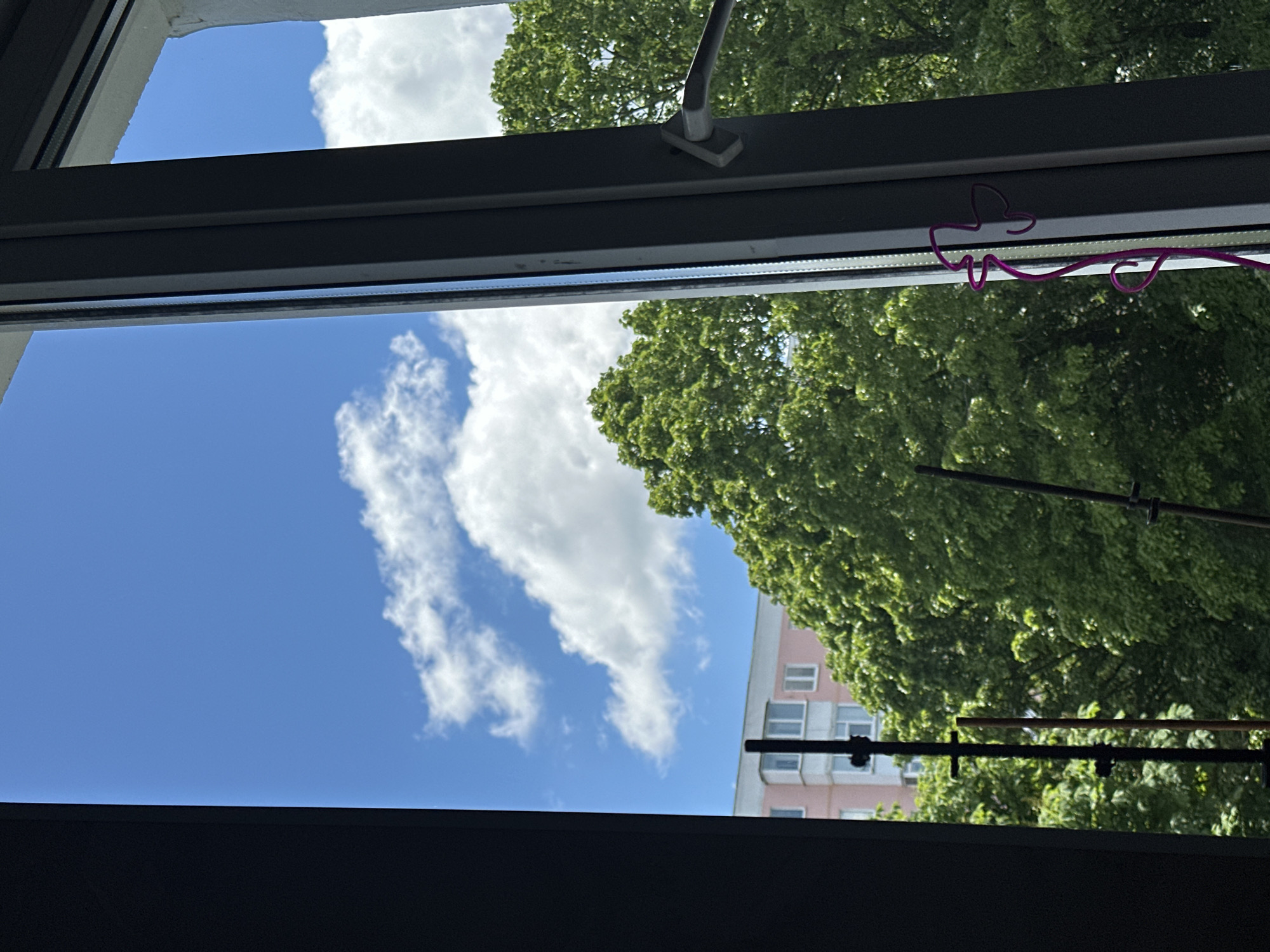 The image presents a bright daytime view looking out from a dark-framed window. The scene is dominated by a clear blue sky, sparsely populated with white, fluffy clouds, suggesting good weather.
Through the window, a large, dense green tree is prominently featured, its lush foliage occupying a significant portion of the outdoor view. The leaves appear vibrant and well-lit by sunlight, indicating a sunny day. Behind and partially obscured by the tree is a multi-story building with a light pink or peach-colored facade, featuring multiple rectangular windows. Below the main tree line, two dark horizontal bars or poles, possibly part of an outdoor clothes drying rack or antenna, are visible extending across the lower half of the outdoor scene, with some smaller vertical supports.
The interior window frame, in a dark gray or black tone, divides the view. On the upper section of the window frame, a gray and white window stay or hinge mechanism is attached. A distinctive detail is a twisted purple wire, possibly a decorative hanger, shaped in a whimsical manner reminiscent of a stylized animal or abstract hearts, situated along the inner edge of the upper window frame.
The overall impression is one of a calm, sunny day during a warm season, likely summer or late spring, given the verdant trees. The time of day is clearly daytime, probably mid-morning or afternoon, with strong, natural light. No people are visible, and no discernible text is present in the image. The setting is consistent with a residential or urban environment, located in Stavropol, Russia, as per the context.