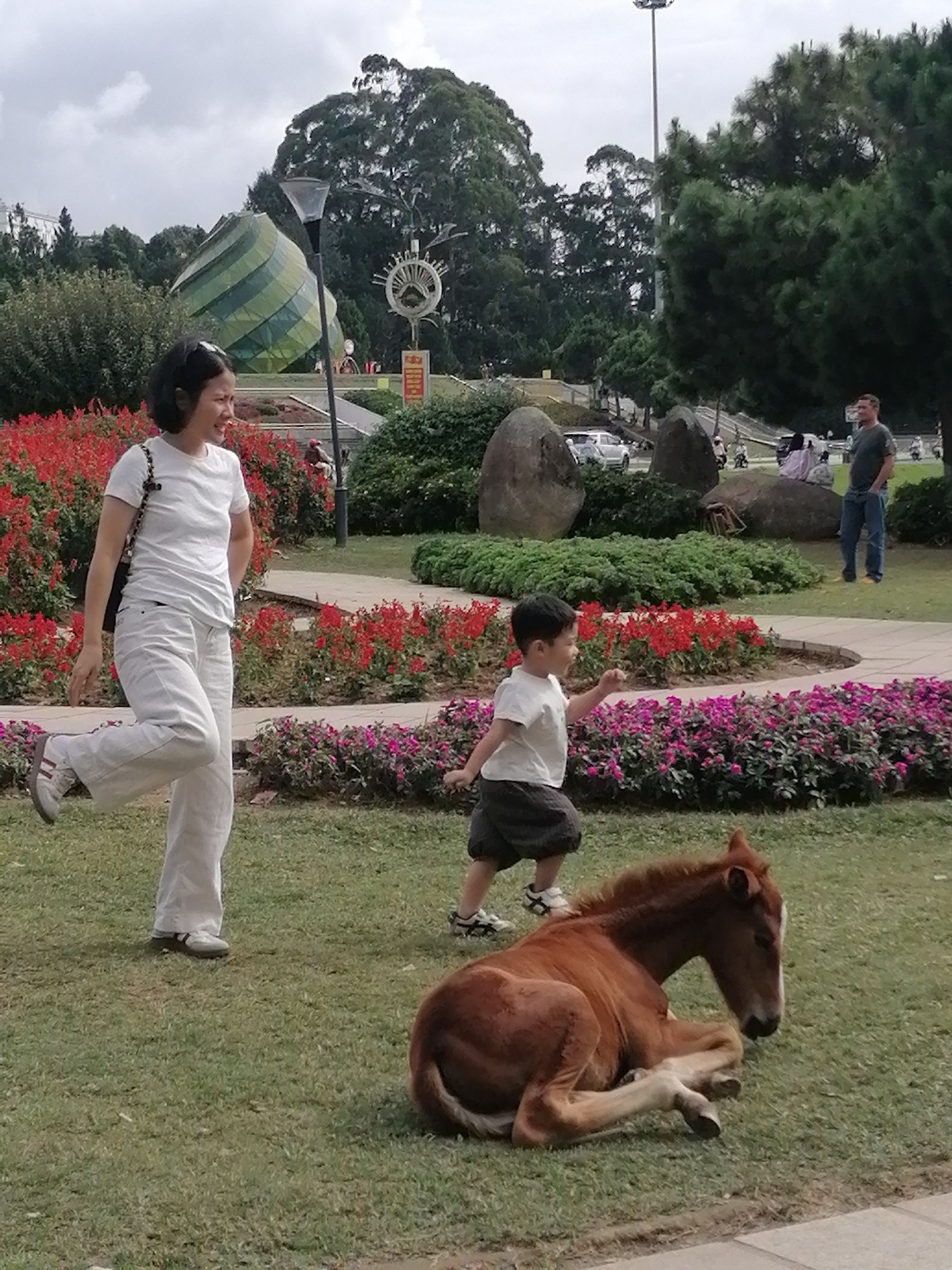 The image depicts a grassy park area in Da Lat, Vietnam, with a cloudy sky overhead. In the foreground, a young brown horse is lying down on the grass. To the left, a woman wearing a white t-shirt and white pants is walking. To the right and slightly behind the woman, a young boy in a white t-shirt and dark shorts is running and reaching out. In the background, there are various elements including trees, a large green and yellow coiled structure, a lamppost, flowering bushes with red and pink blossoms, large rocks, a road with vehicles, and a man standing on a sidewalk in the distance.