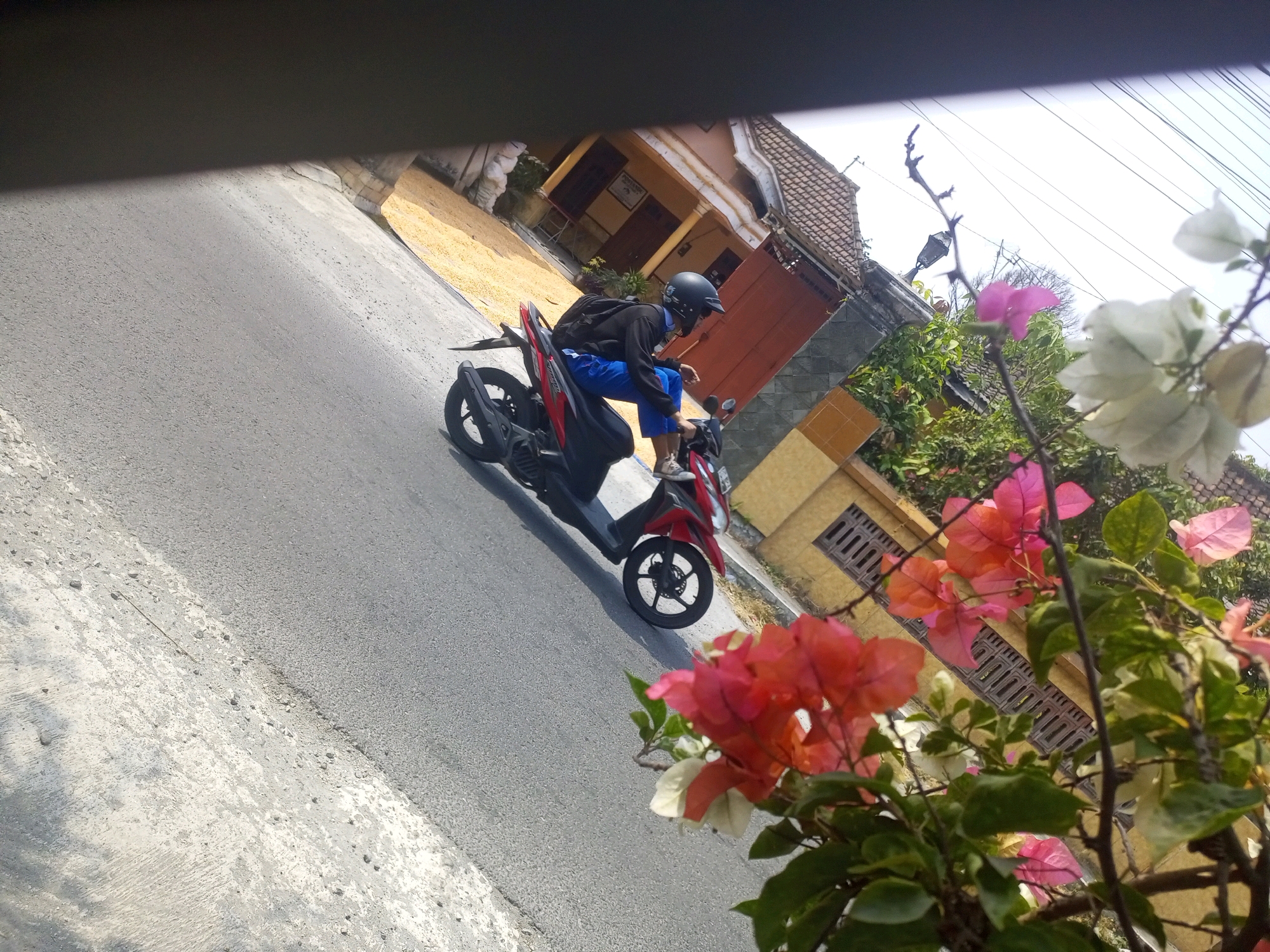 In Ngasem, Indonesia, a person wearing a black helmet and a black jacket is riding a red and black scooter. The scooter is on a paved road, and the rider is wearing blue pants. In the background, there is a house with a light brown exterior and a red door. There are also some flowering plants with pink and white flowers in the foreground. The sky is overcast.
