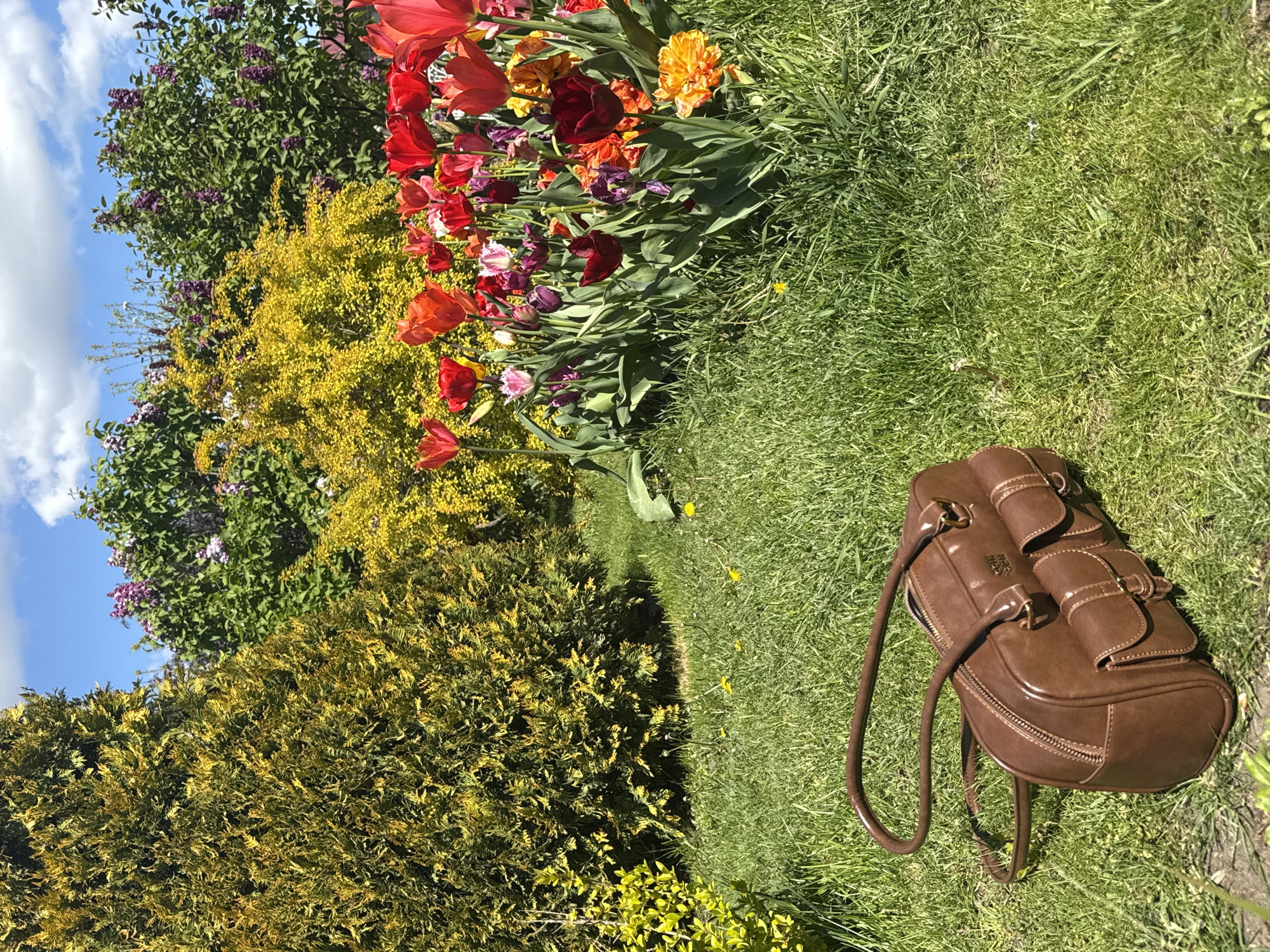The image depicts a brown leather handbag lying on green grass in what appears to be a garden setting. Behind the bag, there is a vibrant array of flowers, including red, orange, and purple tulips. Further back, there are various bushes and trees with green, yellow, and purple foliage. The sky is visible in the upper left corner, showing blue sky with some white clouds.
Without additional information, it is impossible to confirm the location as Pervorechenskoye, Russia. There are no identifying features, such as buildings, signage, or landmarks, that would confirm the location.
