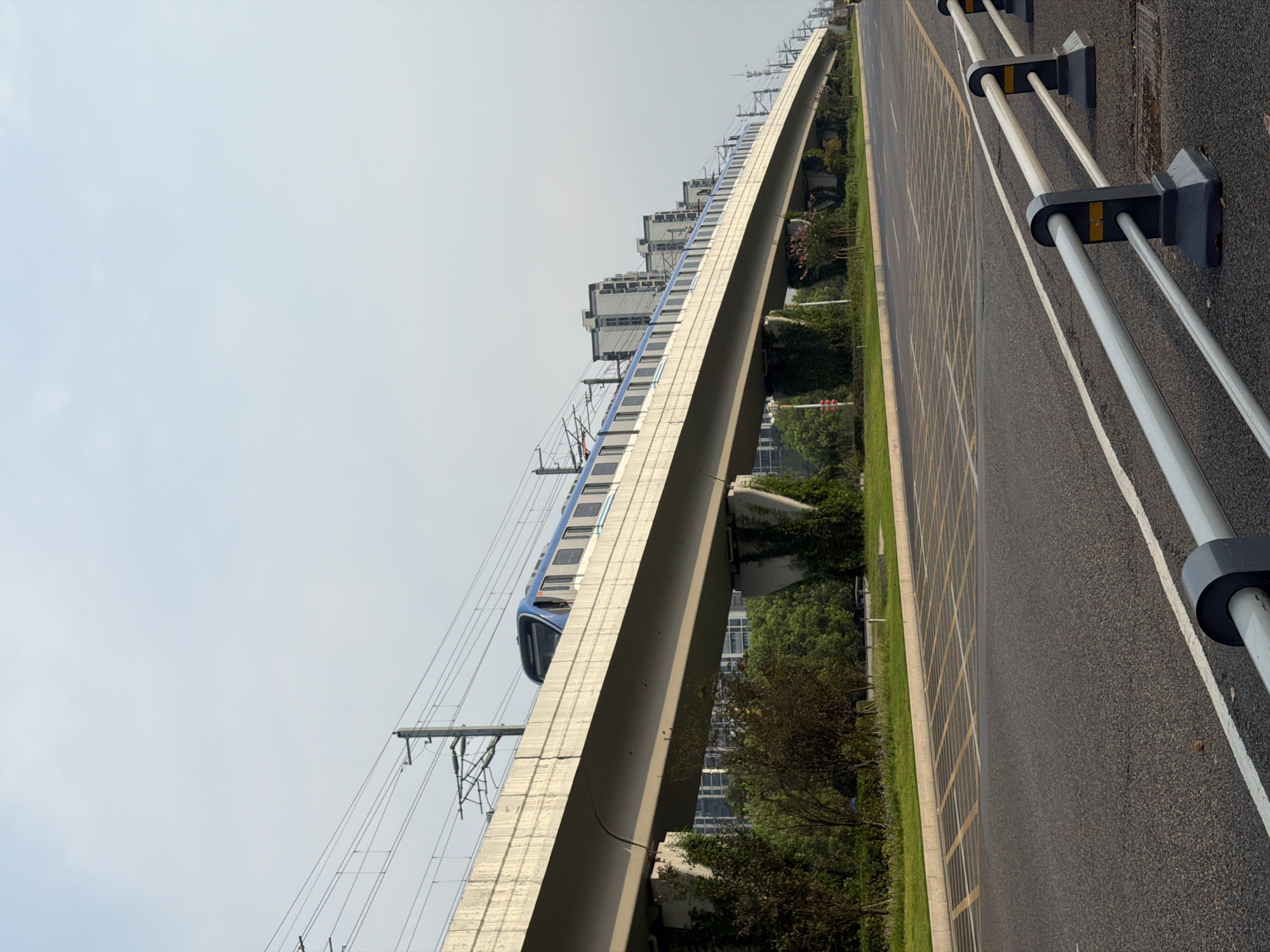 The image shows an elevated metro train traveling on an overhead track. The track is supported by concrete pillars, some of which are covered in vegetation. The train is blue and white with multiple carriages. In the background, there are several tall residential buildings. A paved road with yellow lane markings is visible in the foreground, with a white metal barrier along the side. Green trees and grass are present on either side of the road and beneath the elevated track. The sky is overcast and light blue. This scene is located in the city of Jiangjin, China.