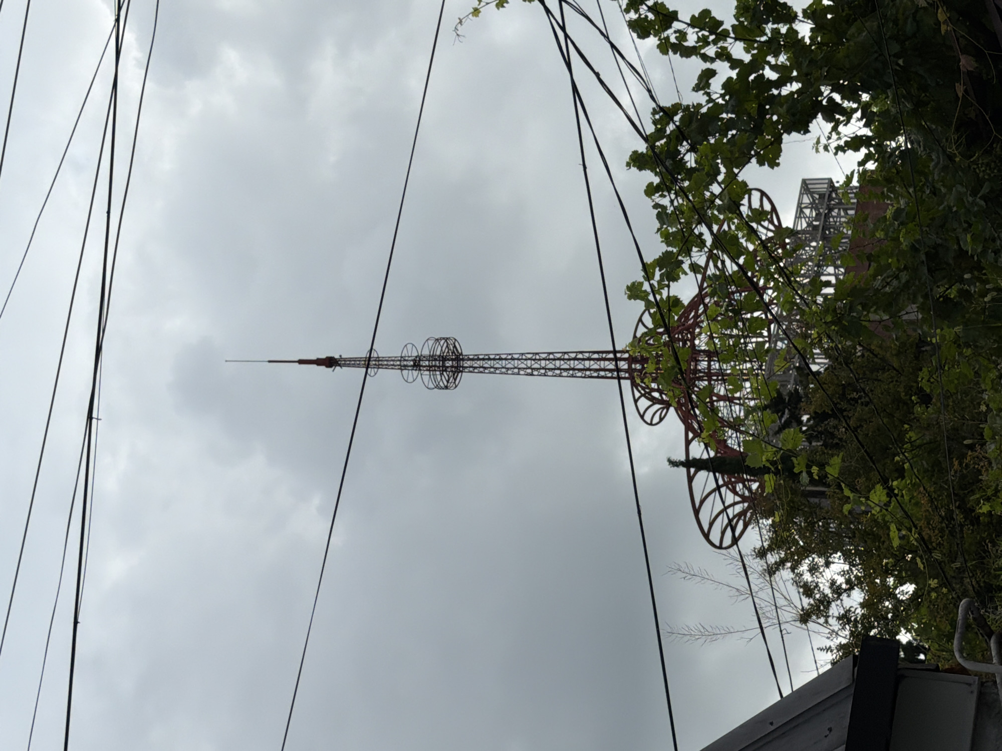 The image captures a view of the Tbilisi TV Tower, a prominent landmark in Tbilisi, Georgia, with an overcast sky. The tower, a tall, lattice-steel structure, rises vertically against the cloudy backdrop. It is partially obscured by lush green foliage and tree branches in the foreground, with several dark electrical wires crisscrossing the frame, creating a layered composition. To the left, a portion of a gray building's roof is visible. The overall scene is dominated by a muted color palette due to the cloudy weather.