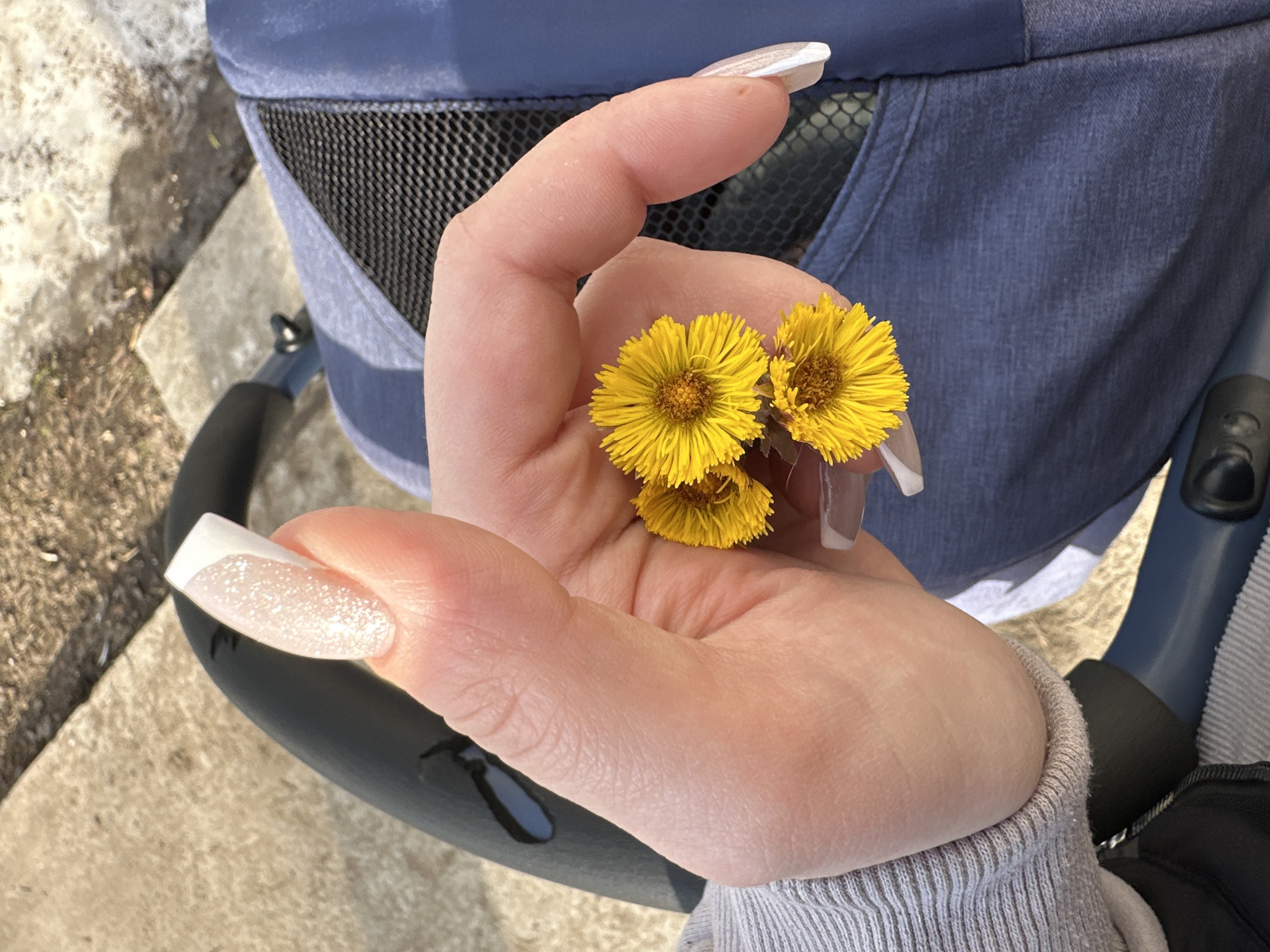 A Caucasian person is holding three yellow flowers in the palm of their left hand. The person has long, artificial fingernails with a white tip. The person is wearing a gray long-sleeved shirt. The background is a stroller. The location is in the city of Chaikovsky, Russia.