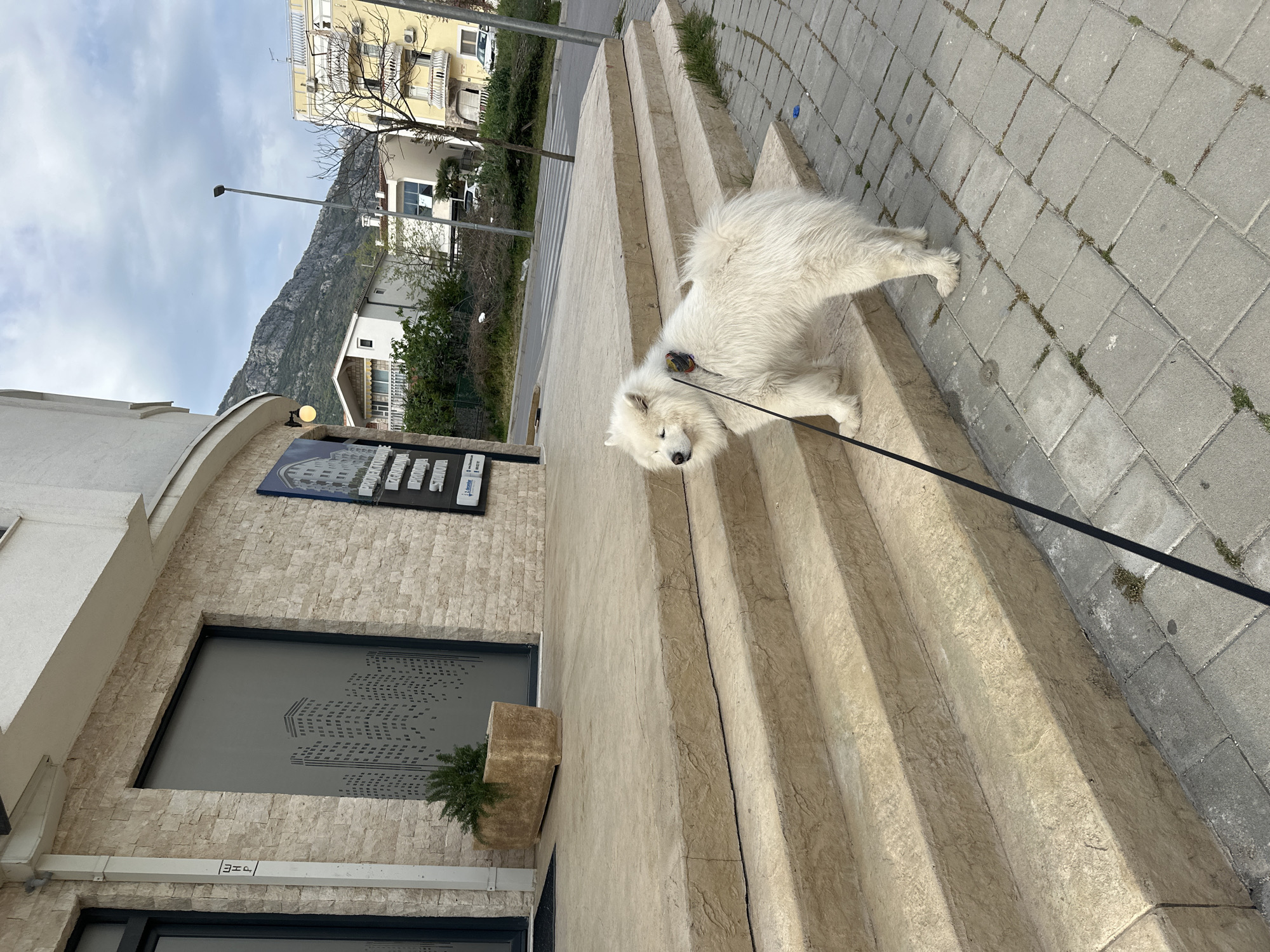 A white Samoyed dog is standing on a light brown stone staircase. The dog is leashed with a black leash. The staircase is next to a building with a light-colored, textured facade. A sign and a decorative window with a design of buildings are visible on the building. Further back, buildings and a mountain are visible. The location is Šušanj, Montenegro.