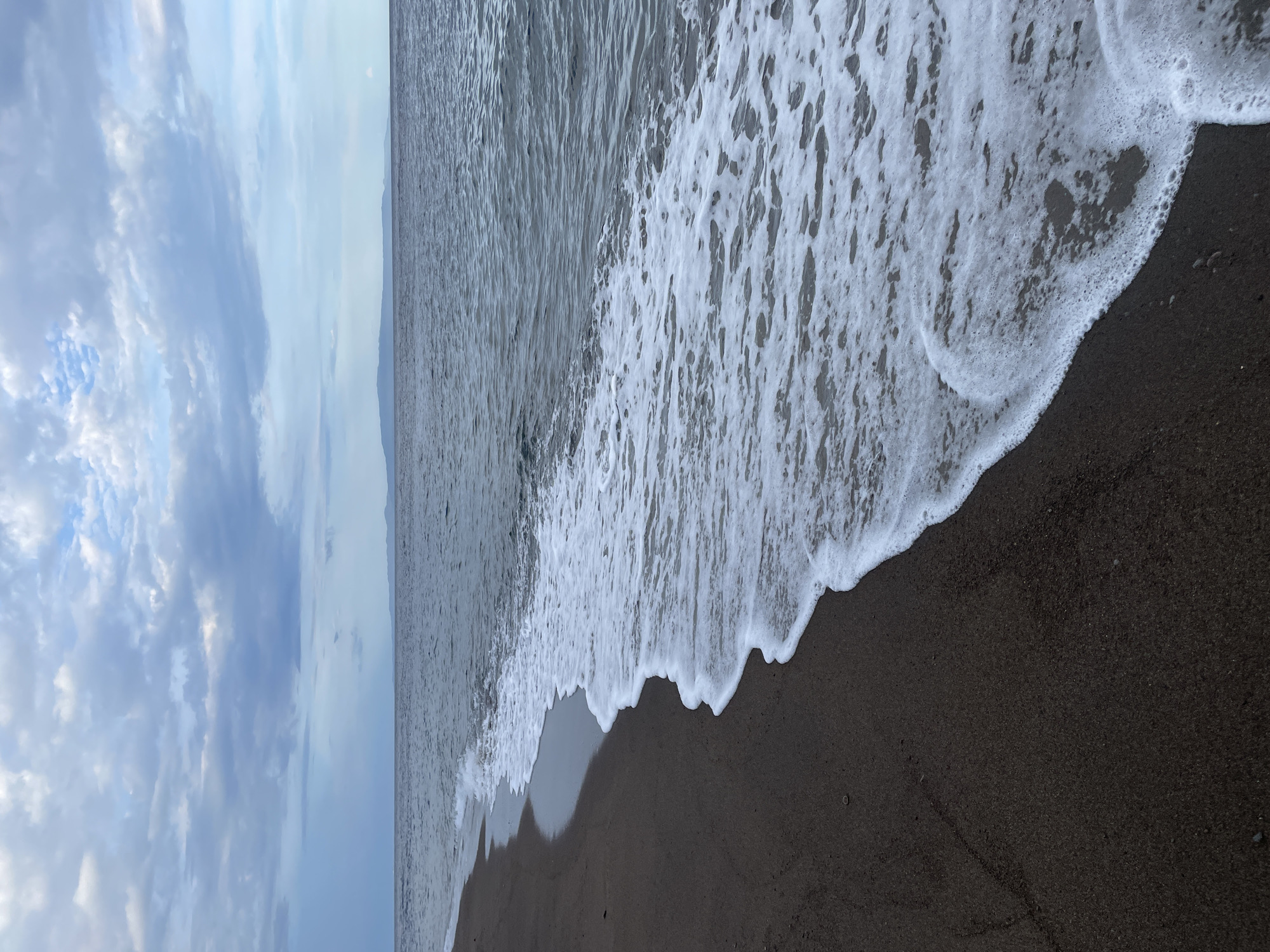 The image depicts a serene beach scene in Dauin, Philippines. The foreground features dark, damp sand with a gentle wave washing ashore, leaving a trail of white foam. The water stretches out to the horizon, appearing a deep blue under a sky filled with soft, greyish-blue clouds. In the distance, a faint outline of land, possibly islands, is visible against the horizon. The overall atmosphere is tranquil and natural, with no people or man-made objects present.