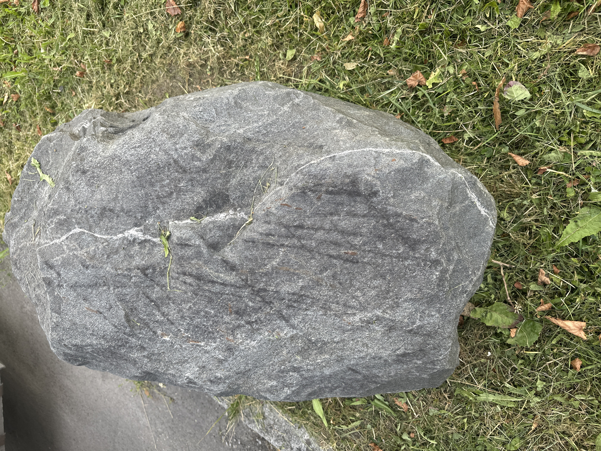 A large, grey, irregularly shaped boulder rests on a grassy area adjacent to a paved surface. The boulder exhibits distinct mineral veining, with a prominent white streak running diagonally across its surface. Several strands of green grass and a few fallen brown leaves are scattered on the ground surrounding the boulder. The paved surface appears to be a sidewalk or pathway, indicated by a concrete curb where it meets the grass. The scene is set outdoors, likely in a public space within the city of Dornbirn, Austria, given the implied location. There are no people visible in the image.