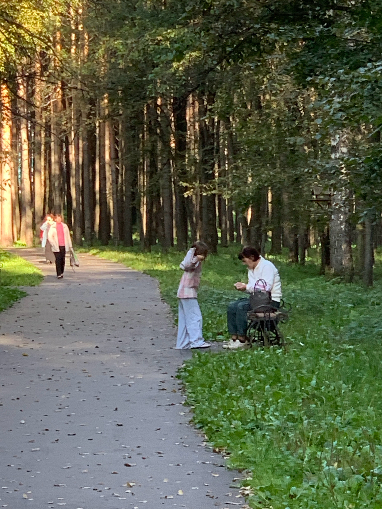 In Prokopyevsk, Russia, a paved park path winds through a forest of tall, thin trees with a dappled sunlight effect. On the left side of the path, a woman in a pink jacket and dark pants walks away from the camera, carrying a rolled-up object under her arm. Further down the path, to the right, a woman is seated on a decorative metal bench, wearing a white sweater and dark pants, looking at her phone. A young person in light-colored pants and a pink and white shirt stands beside her, facing her. The ground is covered with fallen leaves and green grass.