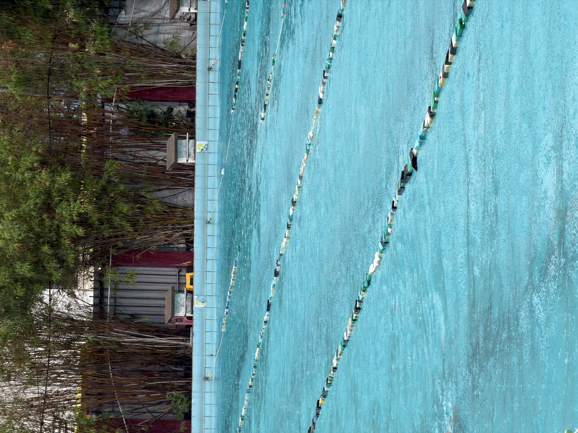 A high-angle, eye-level shot depicts a swimming pool in Nha Trang Ward, Vietnam. The pool, filled with turquoise water, is partitioned by several lane ropes of alternating dark and light colors, stretching from top to bottom. Adjacent to the pool's tiled edge is a dense thicket of bamboo, creating a visual barrier. Behind the bamboo, a section of a building's exterior can be seen, including a corrugated metal wall and a glimpse of a red-painted area. The overall composition suggests a contrast between the controlled environment of the swimming pool and the more natural, overgrown vegetation beside it.