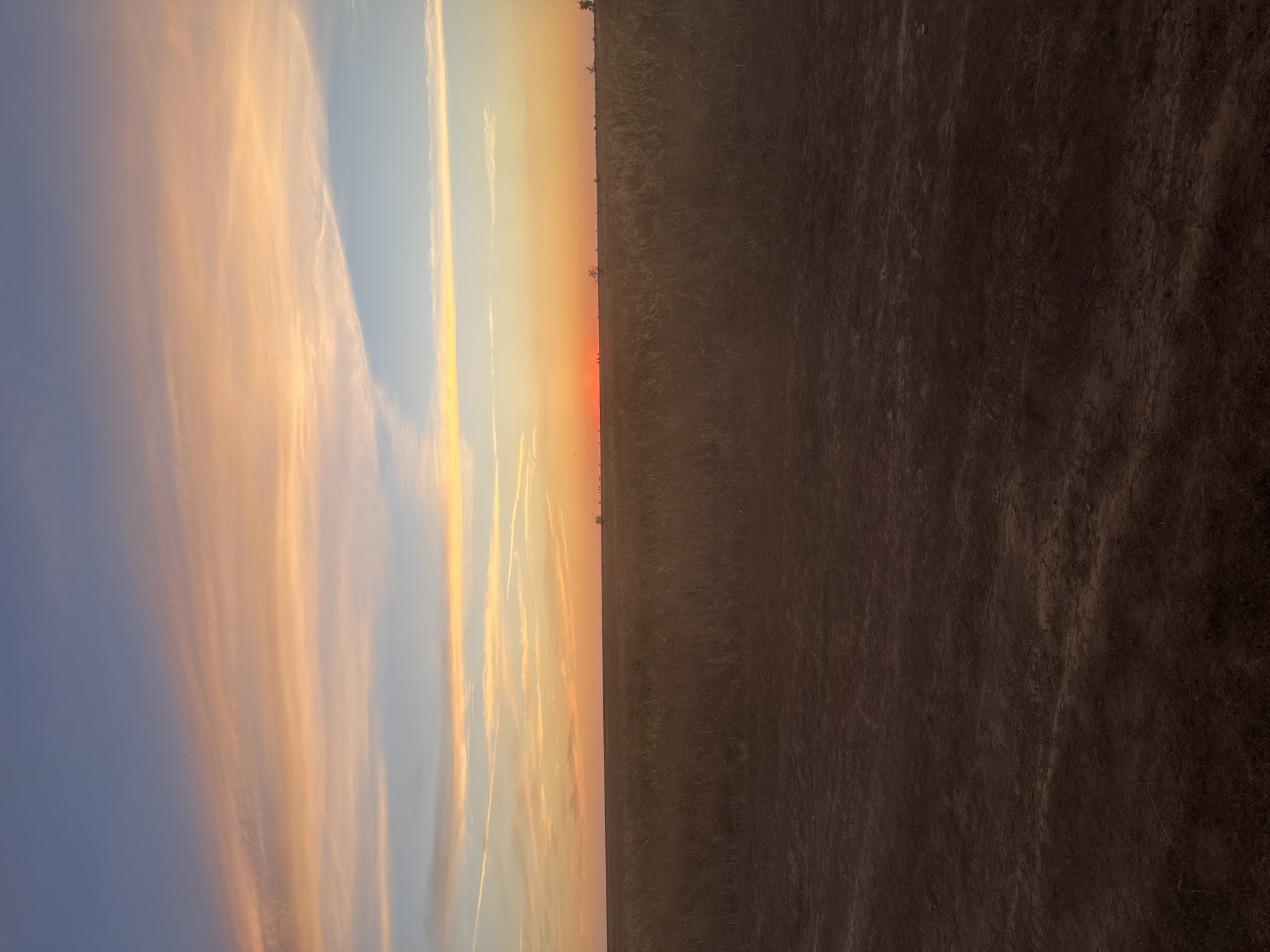 The image captures a vast, flat expanse of grassland under a dusky sky. The horizon is a sharp, unbroken line separating the muted browns and greens of the prairie from the vibrant colors of the sunset. Wispy clouds, tinged with orange, pink, and yellow, stretch across the upper half of the frame, gradually fading into a pale blue at the zenith. A thin band of intense orange marks the sun low on the horizon. The foreground is dominated by dark, rich soil, possibly a dirt road or tilled earth, with sparse dry grass and debris visible. The overall impression is one of natural beauty and solitude, suggesting a rural or undeveloped area. The location is specified as Бөрлі ауылдық округі, Kazakhstan.