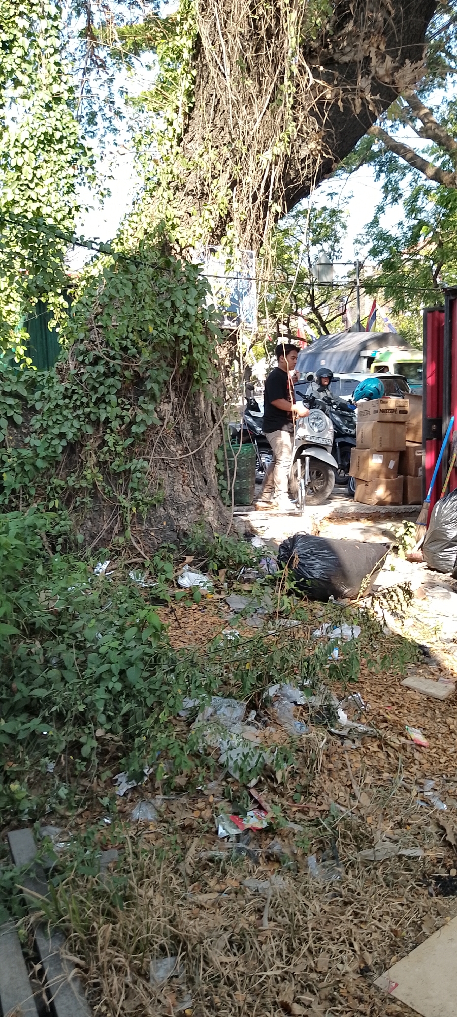 In Bacin, Indonesia, a scene unfolds beneath the dappled sunlight filtering through lush foliage. A large, gnarled tree trunk, heavily entwined with creeping vines, dominates the left side of the frame. The ground surrounding the tree is littered with an assortment of debris, including dry leaves, scattered plastic wrappers, and a large black garbage bag. In the mid-ground, a man in a black t-shirt and beige pants stands next to a white scooter. He appears to be holding a yellow rope. Behind him, another person is seated on a scooter, wearing a grey helmet. A stack of cardboard boxes, some labeled "NESCAFÉ," are piled to the right of the scooters. A red-framed structure is visible on the far right edge of the image, with a blue broom leaning against it. The background reveals glimpses of buildings and what appear to be more trees. The overall impression is one of an urban environment with an overgrowth of vegetation and scattered refuse.