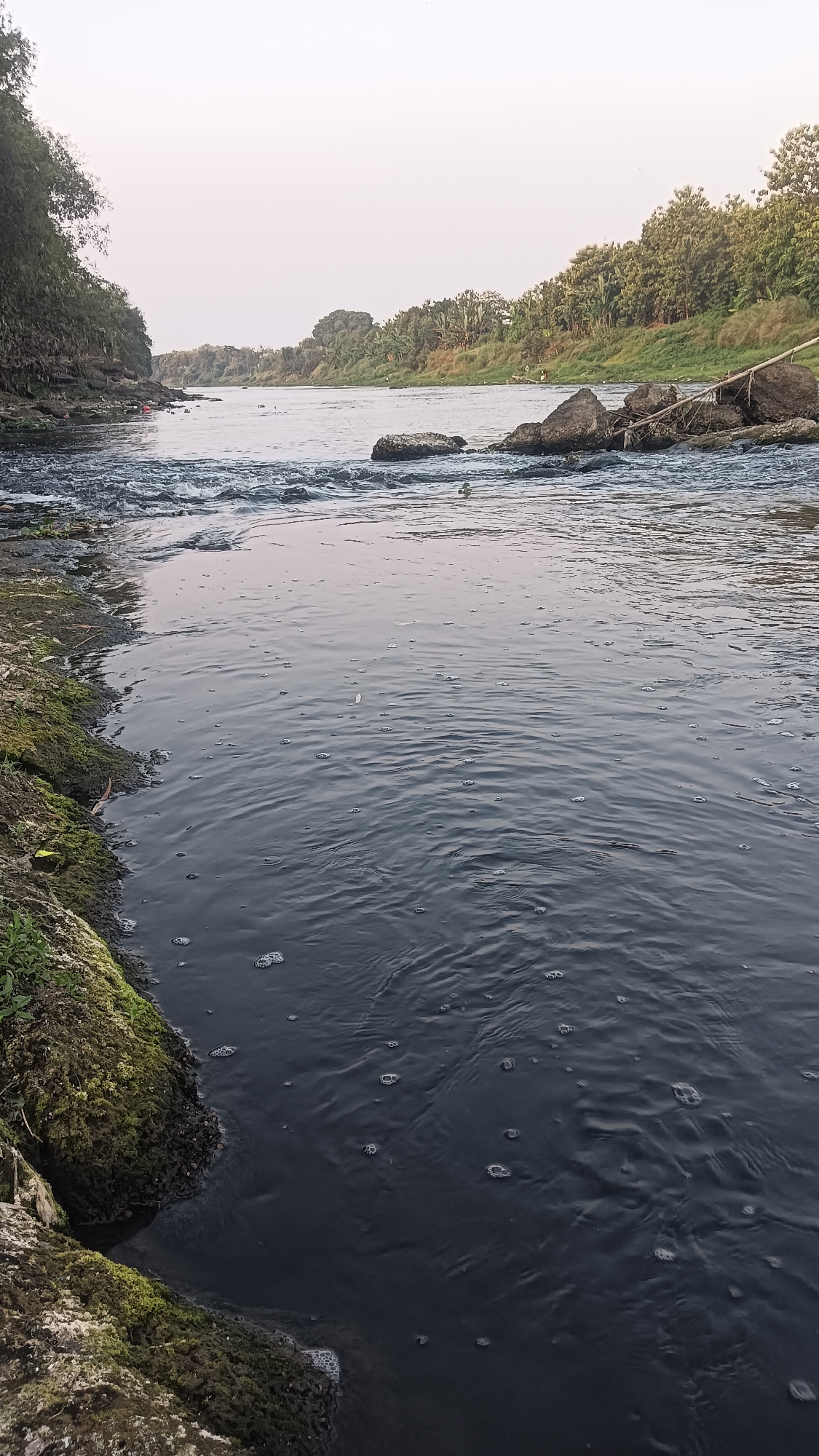 The image shows a wide river flowing through a natural landscape. The water is dark and appears to be moving with some turbulence, creating ripples and bubbles on the surface. On the left bank of the river, there is a rocky, moss-covered embankment with some vegetation. On the right bank, a dense line of trees and foliage stretches along the horizon. In the distance, the river widens and the banks are lined with more trees. The sky is overcast with a light, diffused glow. There are no people visible in the immediate foreground. The scene suggests a natural riverine environment, potentially within or near the city of Tanggan, Indonesia, given its geographical context. The overall impression is one of a tranquil, yet dynamic, natural setting.