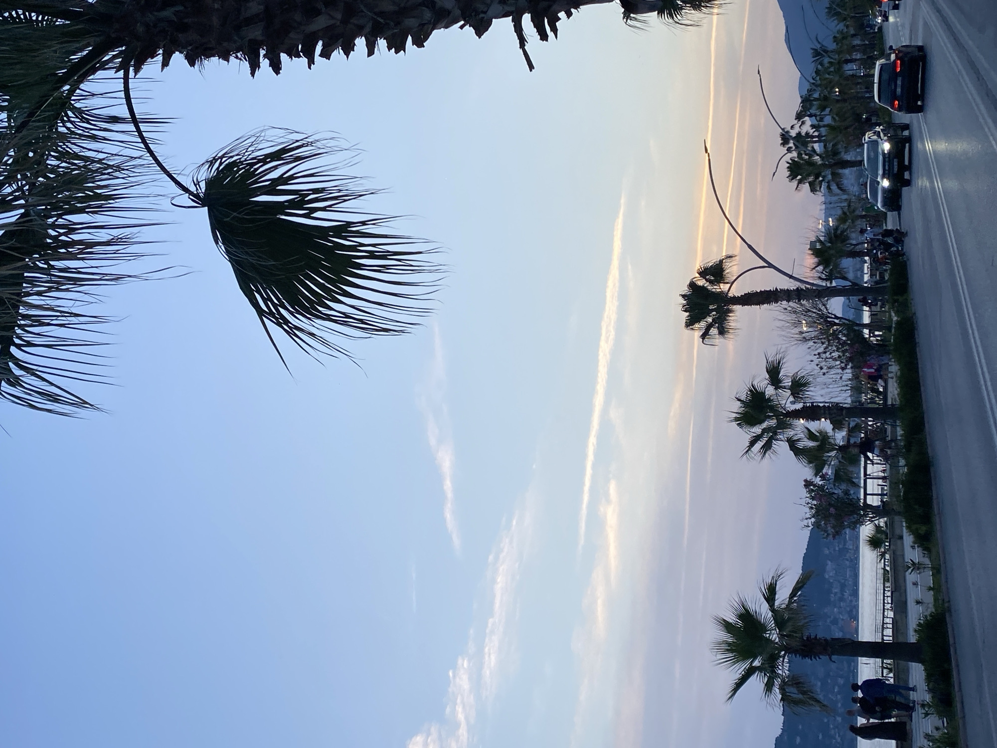The image shows a view of a palm-lined street in Alanya, Turkey. The perspective is from the sidewalk, looking towards the sea.
**Environment:** The sky transitions from a pale blue to a warm, pale orange near the horizon. There are streaky clouds. Along the right side of the image, a road runs parallel to the coastline. Palm trees line the street and a low fence separates the sidewalk from the beach.
**Objects:** Palm trees dominate the foreground and middle ground. Cars, including a black SUV and a car with headlights on, are seen on the road. A street light has two curved arms.
**People:** There are some blurry human figures standing near the palm trees closer to the bottom of the image.
**Actions/Interactions:** Cars are driving along the road. People appear to be standing and looking at the sea.
**Subjects:** The main subjects are the palm trees, the road, the sea, and the sunset sky.
