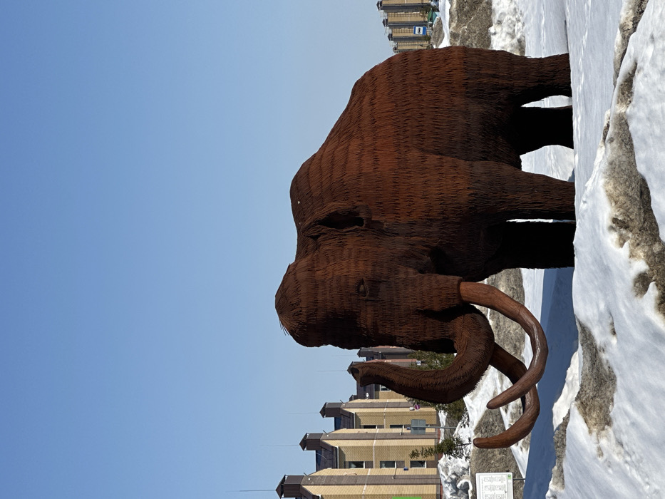 This image displays a large, dark reddish-brown mammoth sculpture situated outdoors in Новое Шигалеево, Russia. The sculpture, detailed with a textured surface resembling fur composed of numerous individual strands, is depicted in profile, facing left with its trunk raised and prominent lighter brown tusks curving downwards. It stands on ground partially covered by melting snow and exposed patches of brown earth. In the background on the left, a series of multi-story residential buildings with light-colored facades and dark sloped roofs are visible. On the right, in the further distance, taller apartment blocks are present. The sky above is clear and bright blue. No human figures or discernible actions are present.
