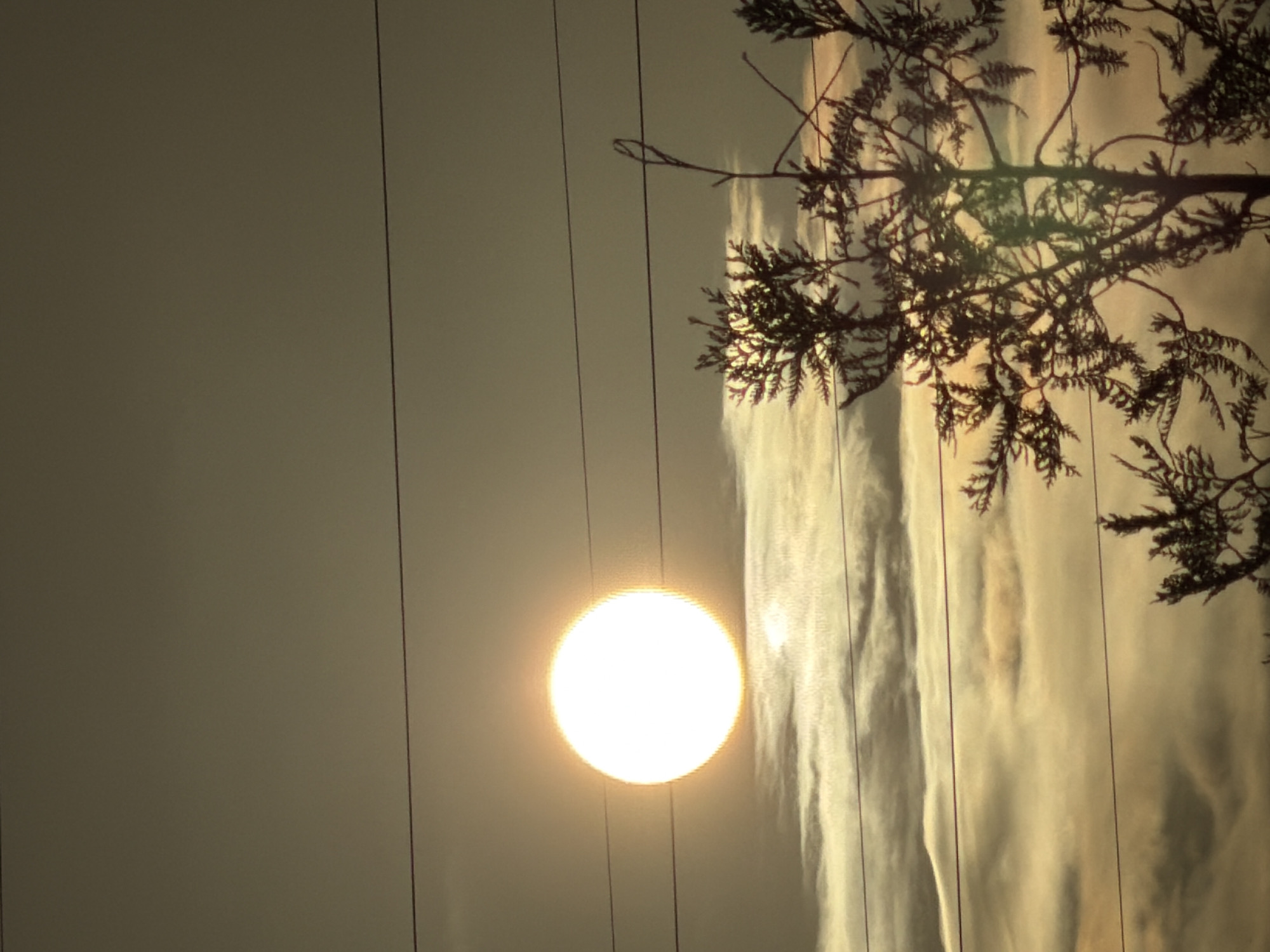 The image captures a bright, hazy sun low in the sky, viewed through power lines and silhouetted tree branches. There is also an interesting, layered, cloud formation in the background. There is no information about the location of this image, especially if it is taken in Esch-sur-Alzette. There are no people or interactions visible in this image.
