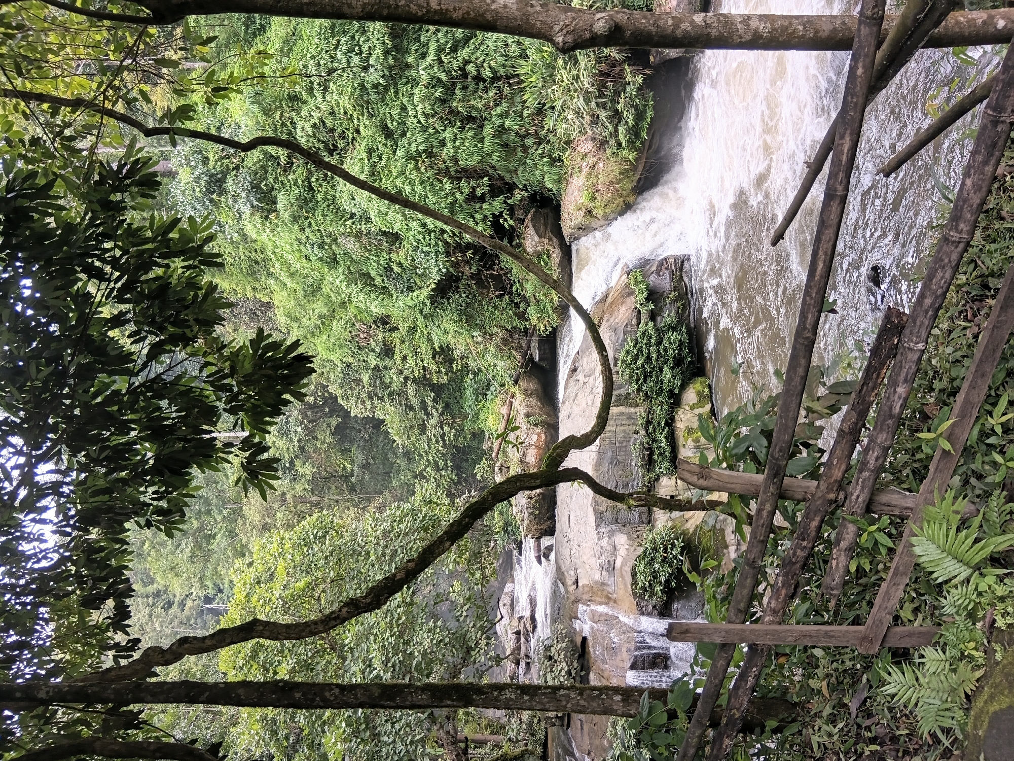 The image depicts a lush, natural scene featuring a waterfall cascading over rocks in a forest environment. In the foreground, a rustic wooden fence made of rough-hewn logs and branches runs horizontally across the frame, partially obscuring the view of the waterfall and the surrounding vegetation. Green ferns and other foliage grow around the base of the fence.
The waterfall itself is the central focus, with water flowing over a series of tiered, light-colored rocks. The water is frothy and white, indicating a rapid descent. The river, or stream, continues downstream from the waterfall, with turbulent water visible. The surrounding environment is densely wooded, with a variety of green trees and plants covering the landscape, creating a sense of an untouched natural setting. One prominent, gnarled tree branch extends into the frame from the top left, with leaves overhead partially obscuring the sky. The overall impression is of a tranquil, verdant jungle or forest. The location is specified as Ban Sop Hat, Thailand.